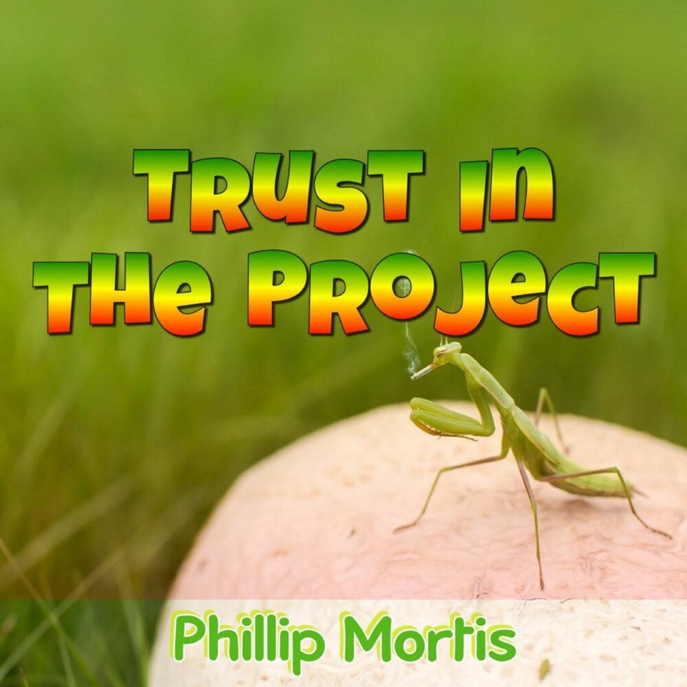 Trust in the Project