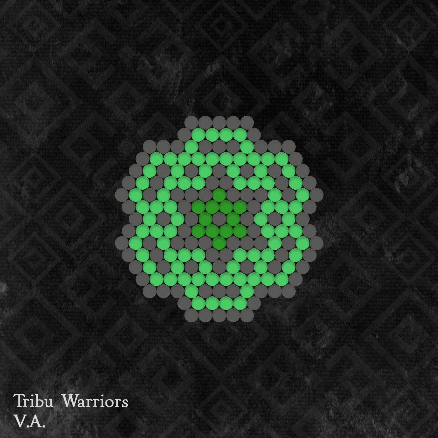 Tribu Warriors V.A.