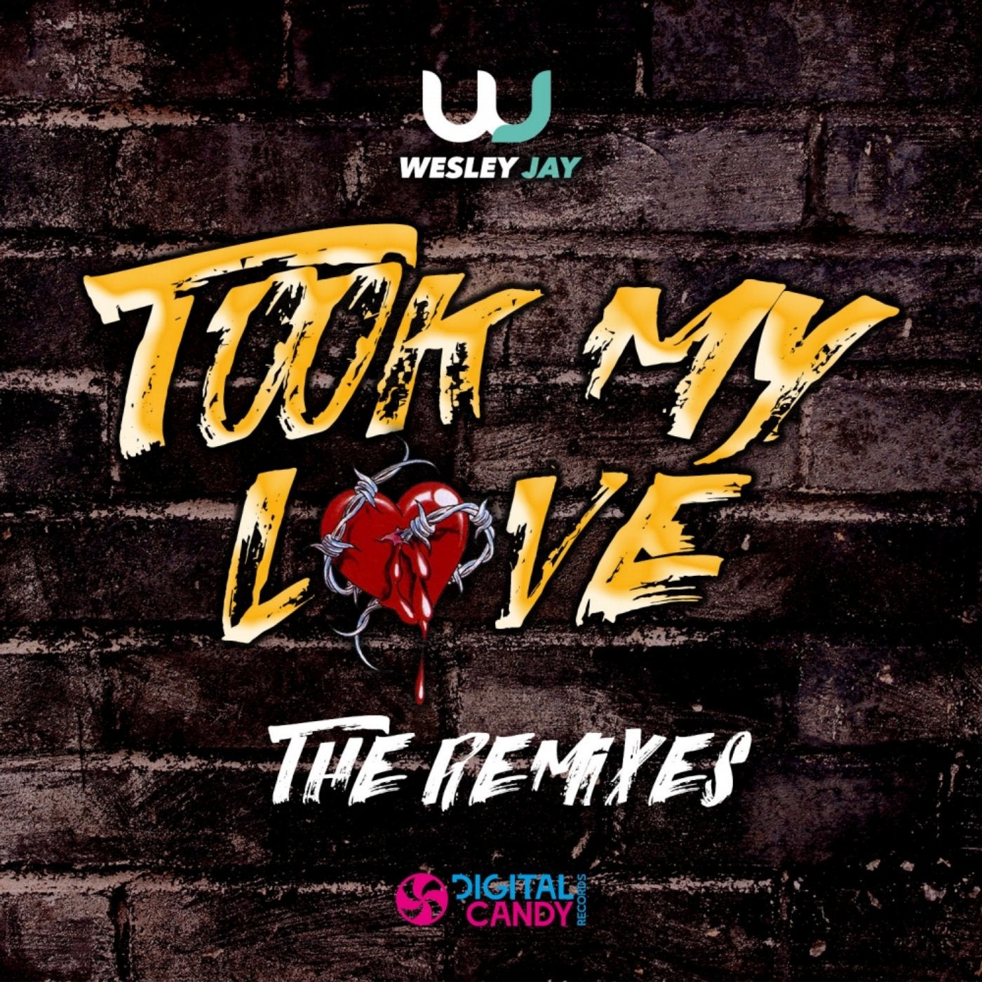 Took My Love (Remixes)