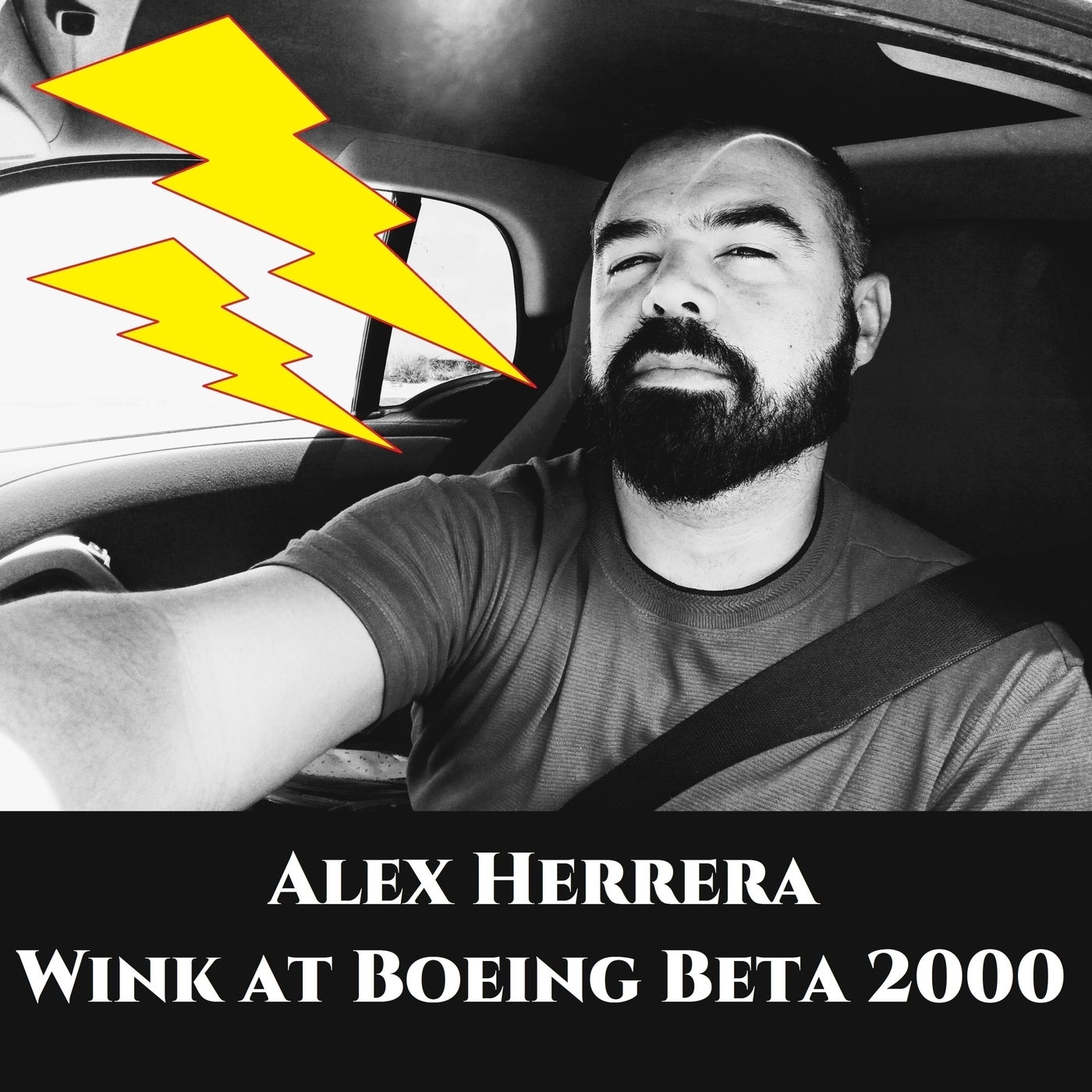 Wink at Boeing Beta 2000