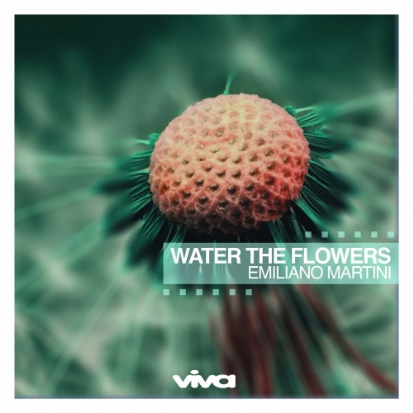 Water the Flowers