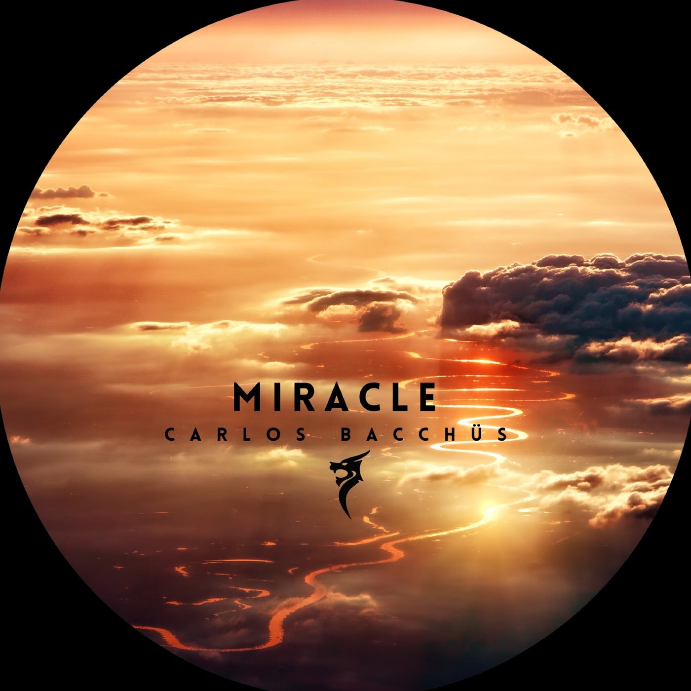 Miracle（Extended Mix）