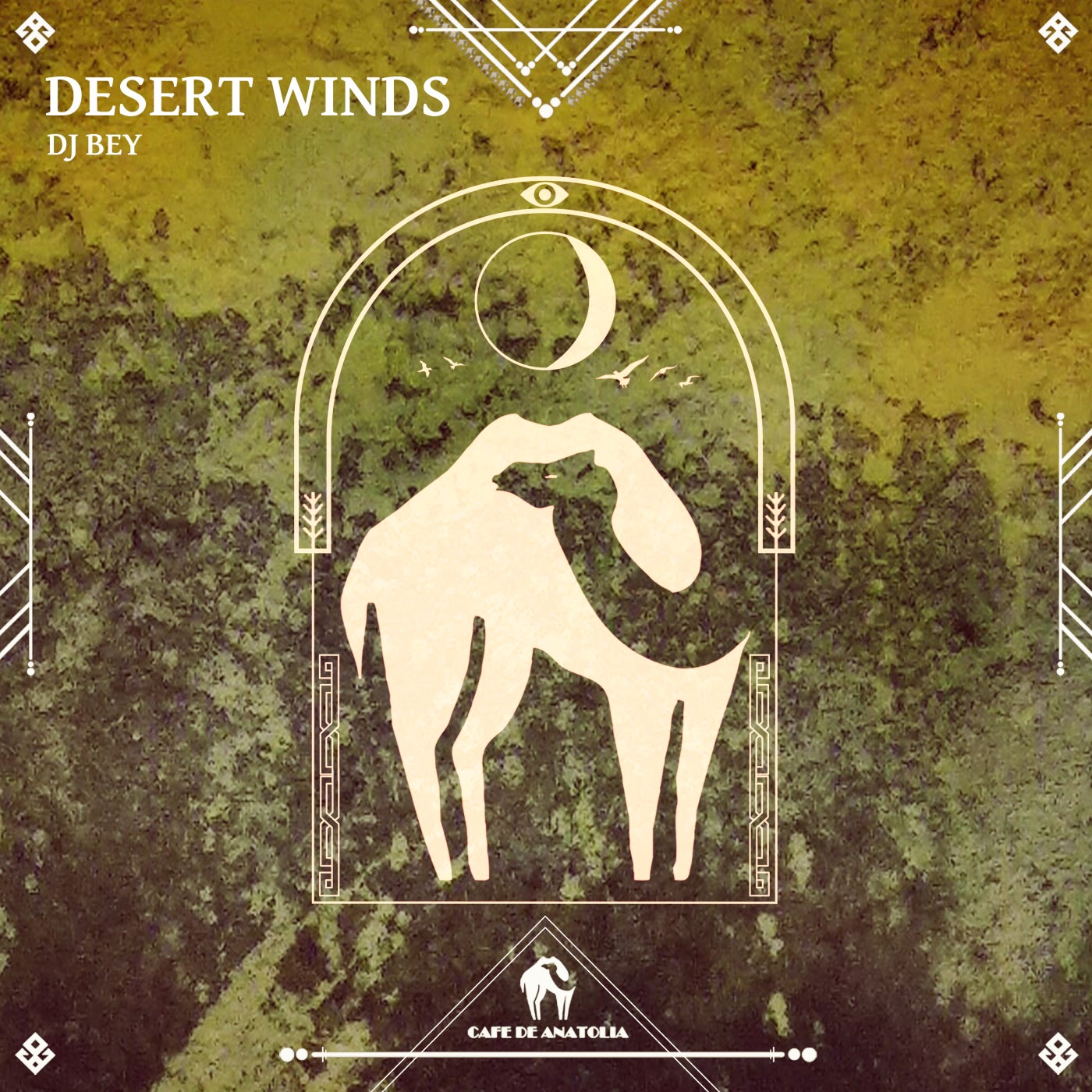 Desert Winds