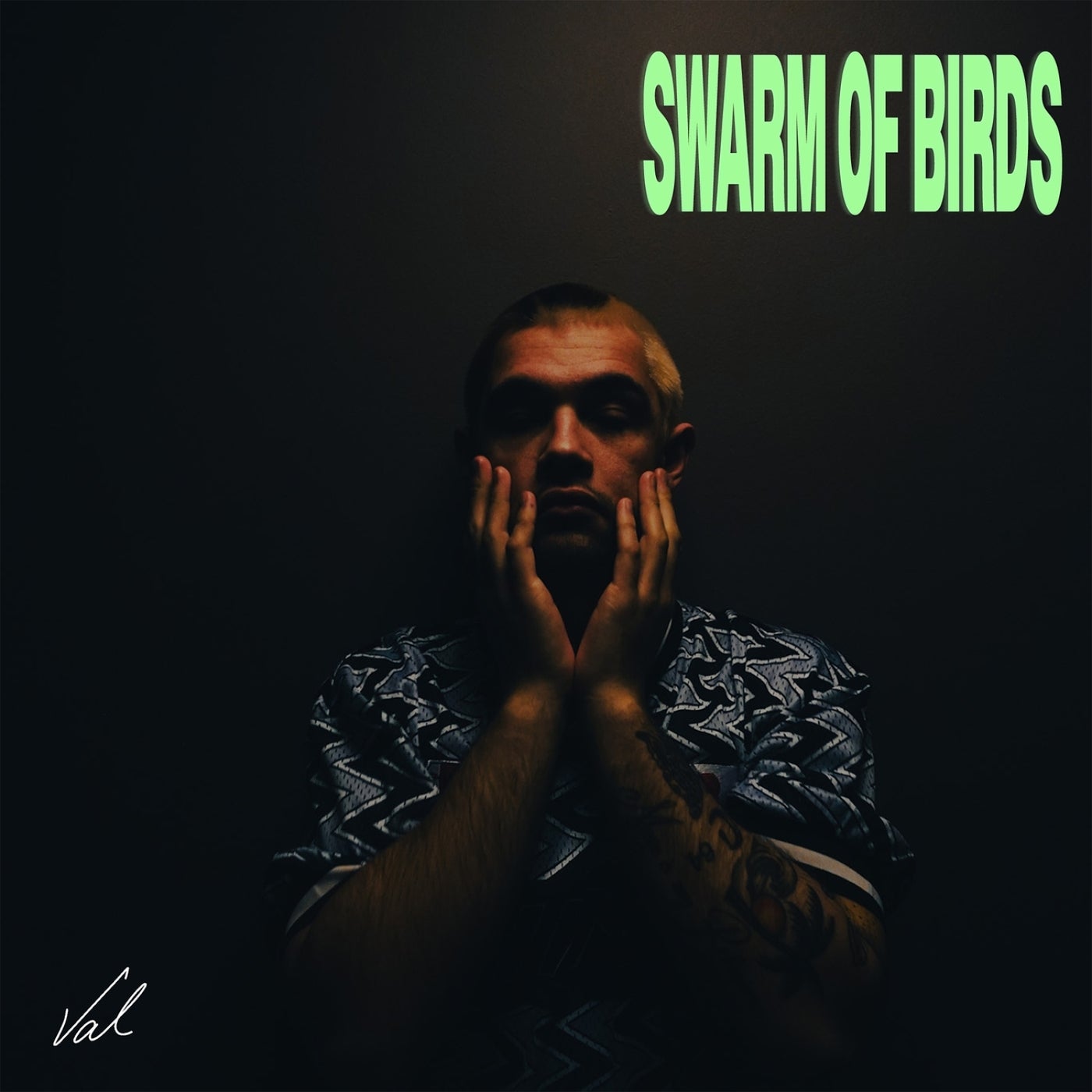 Swarm of Birds