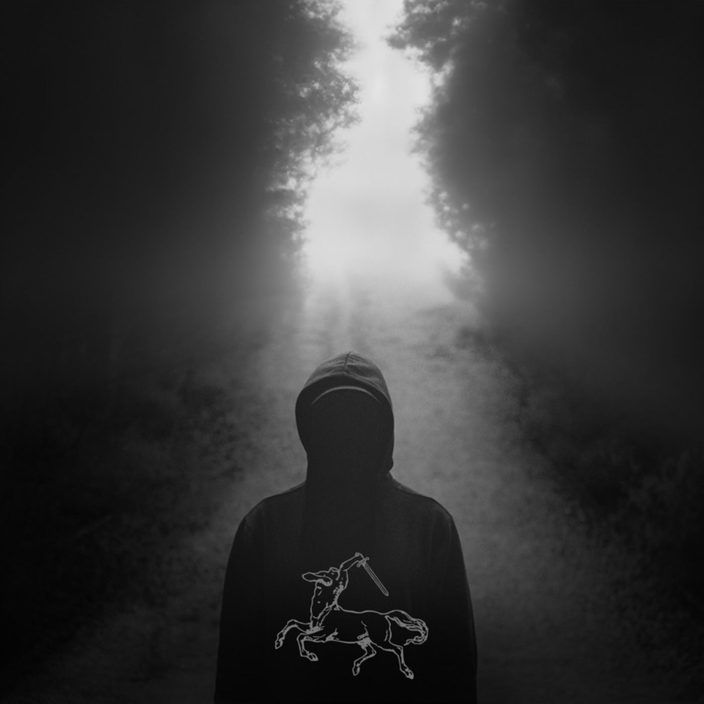 Echo