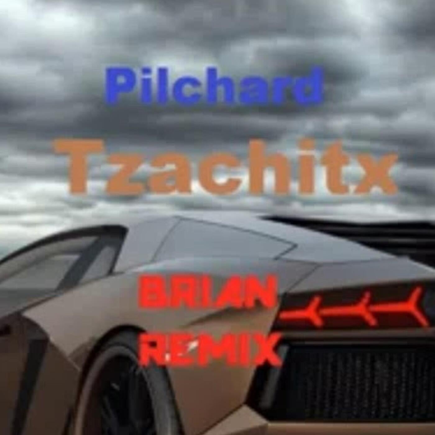 Tzachitx (BR1AN R1mix)