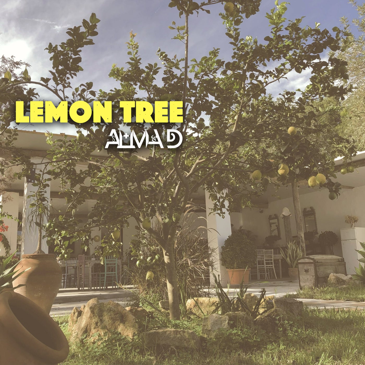 Lemon Tree