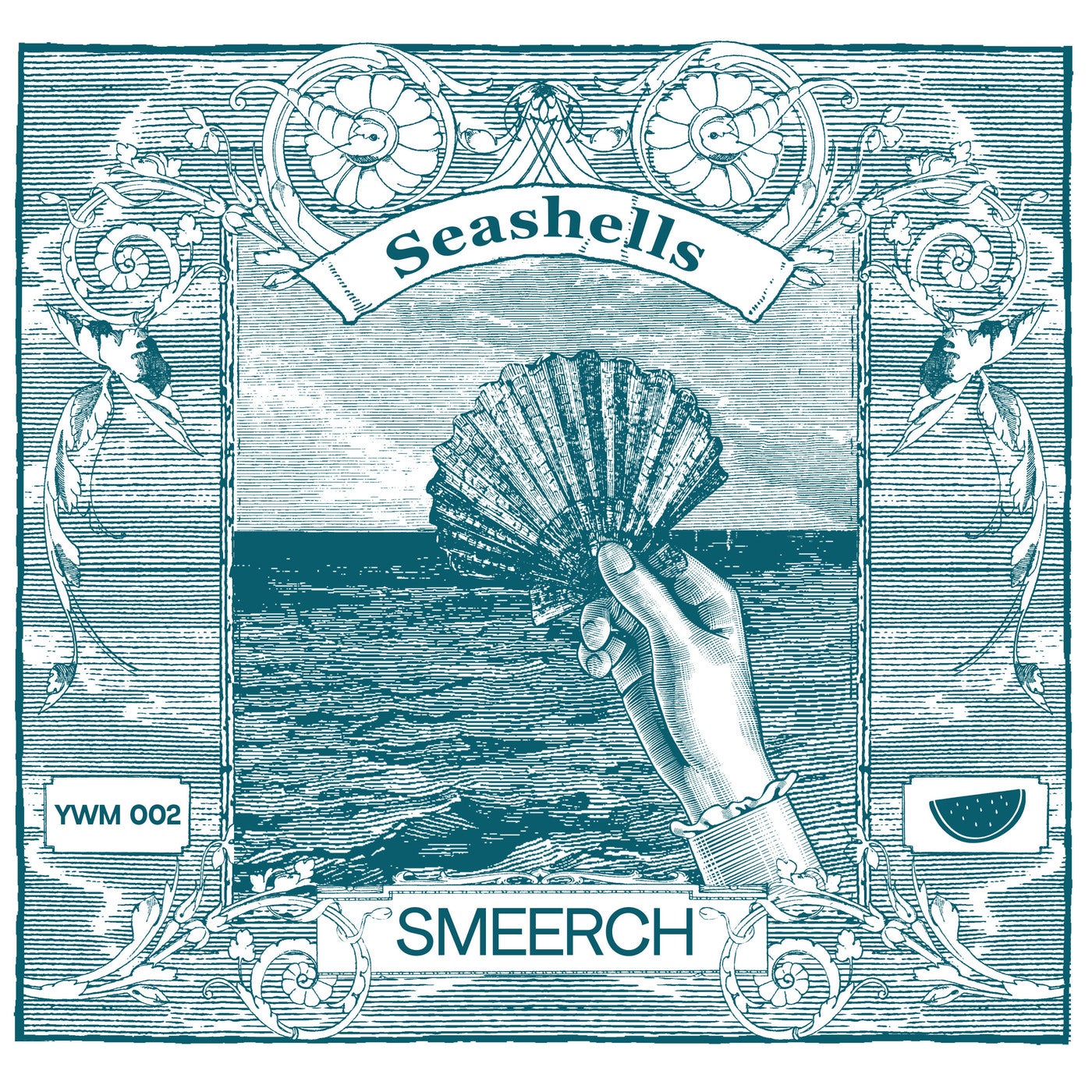 Seashells