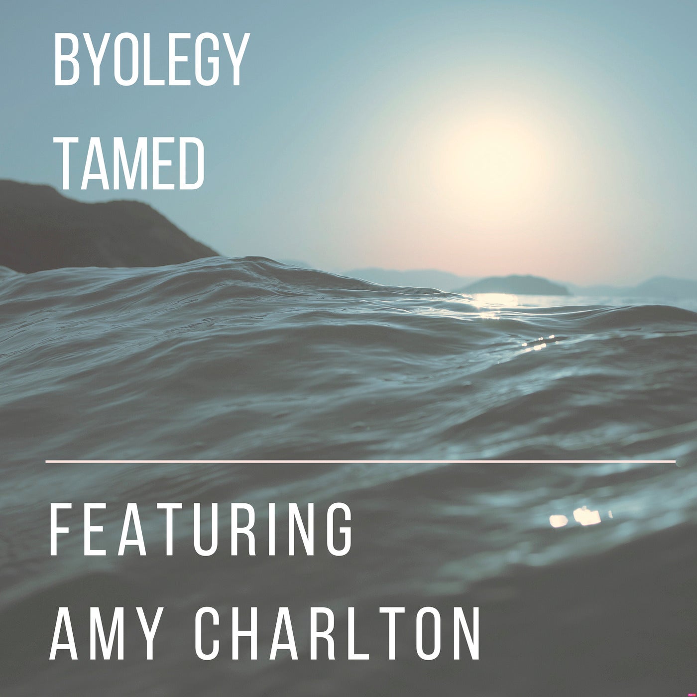 Tamed (feat. Amy Charlton)