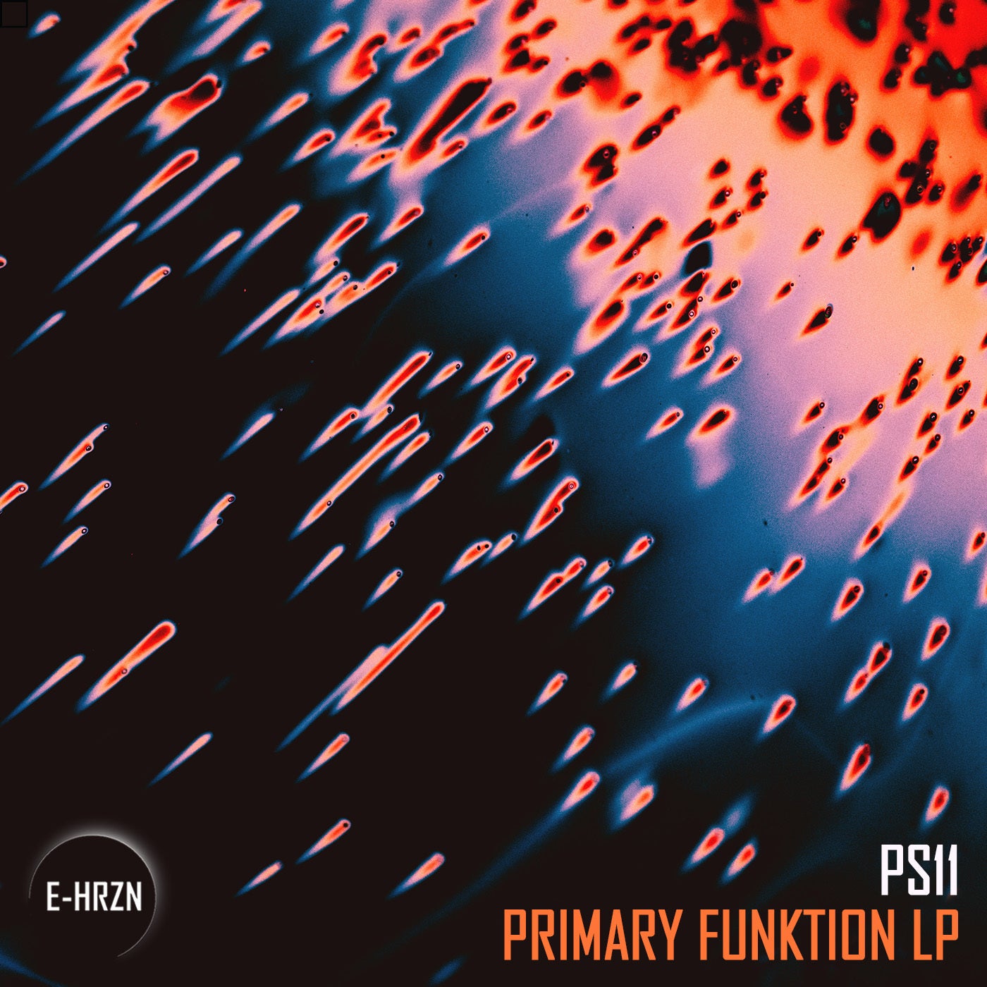 PS11 – Primary Funktion LP EHRZN010 PS11 – Primary Funktion LP EHRZN010