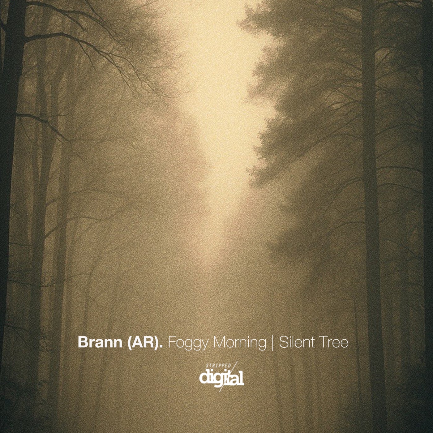Foggy Morning | Silent Tree