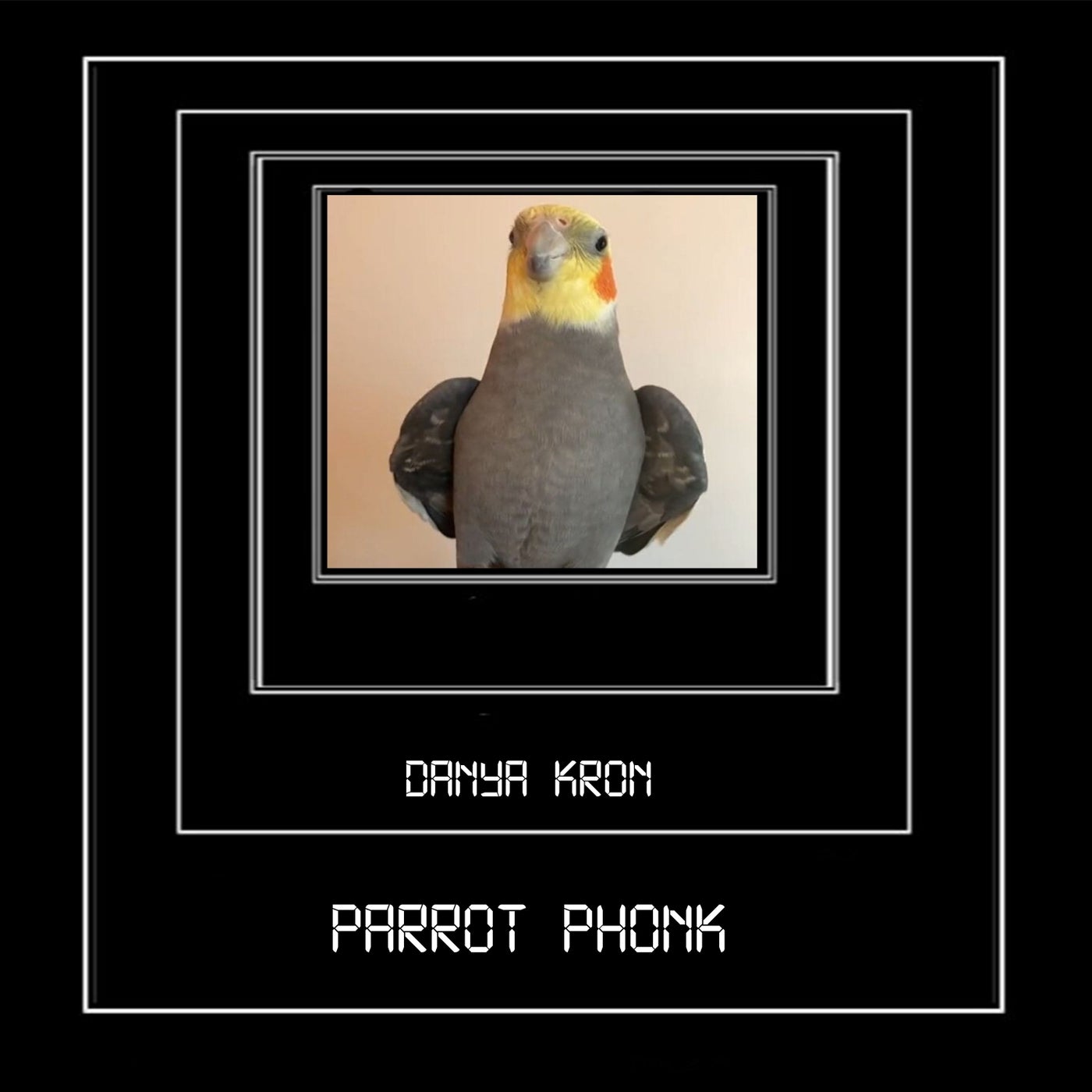 Parrot Phonk