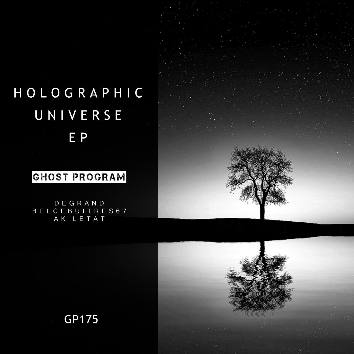 Holographic Universe EP