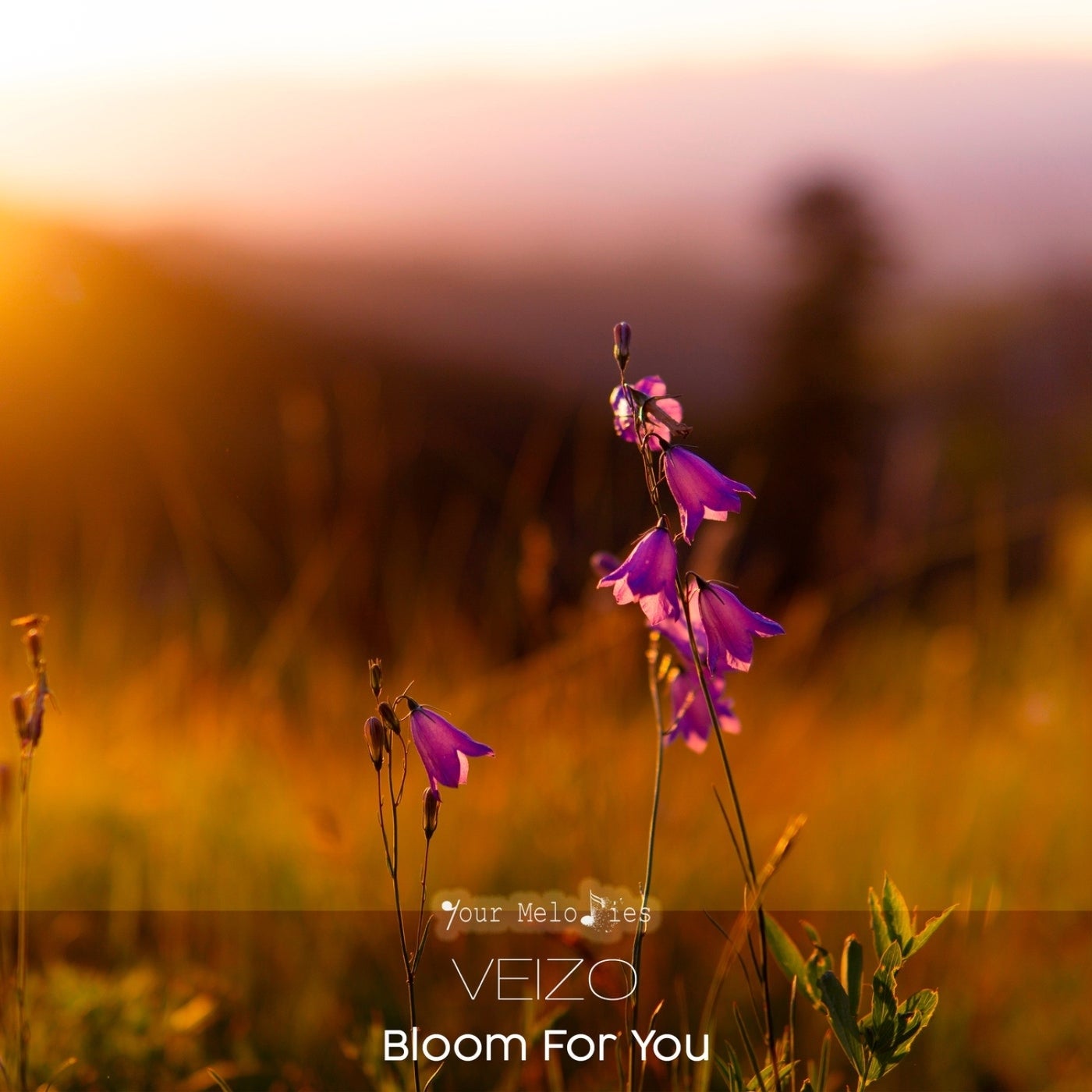 Bloom for You