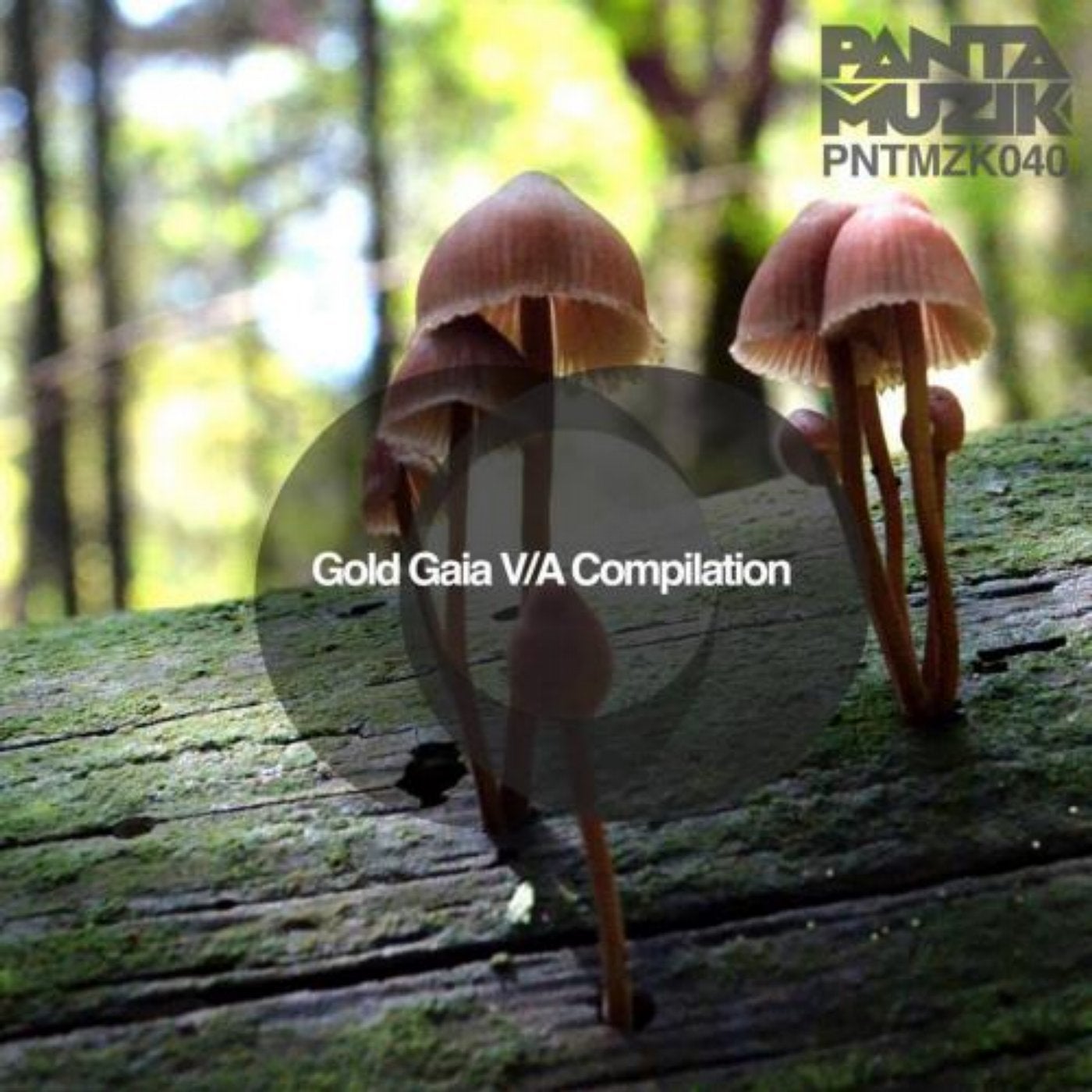 Gold Gaia VA Compilation