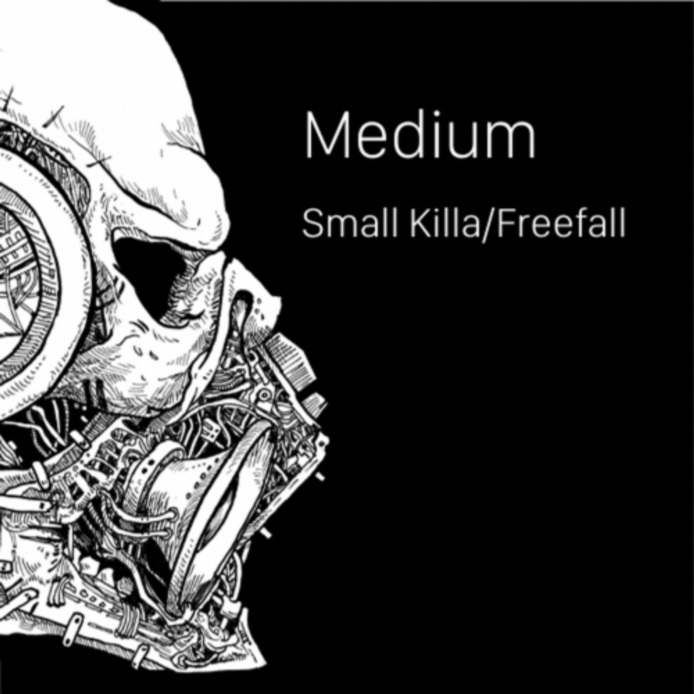 Small Killa / Freefall