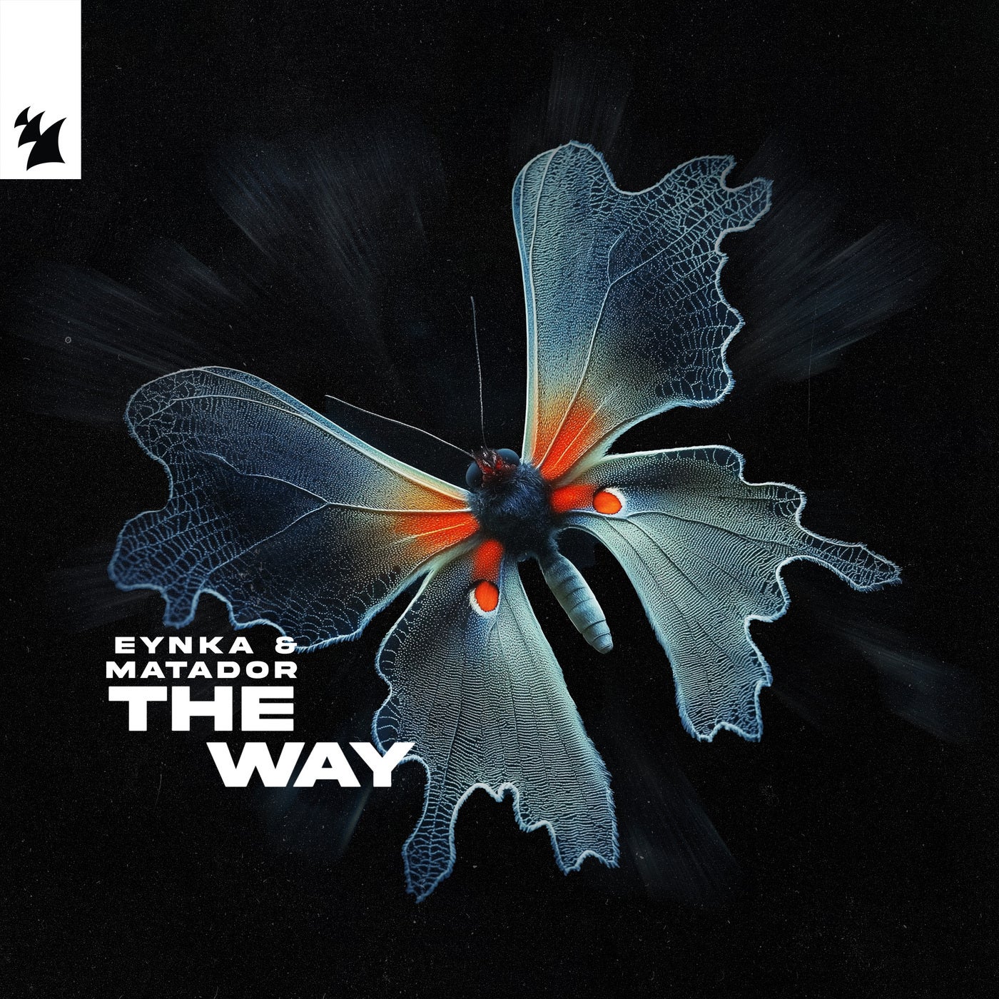 The Way