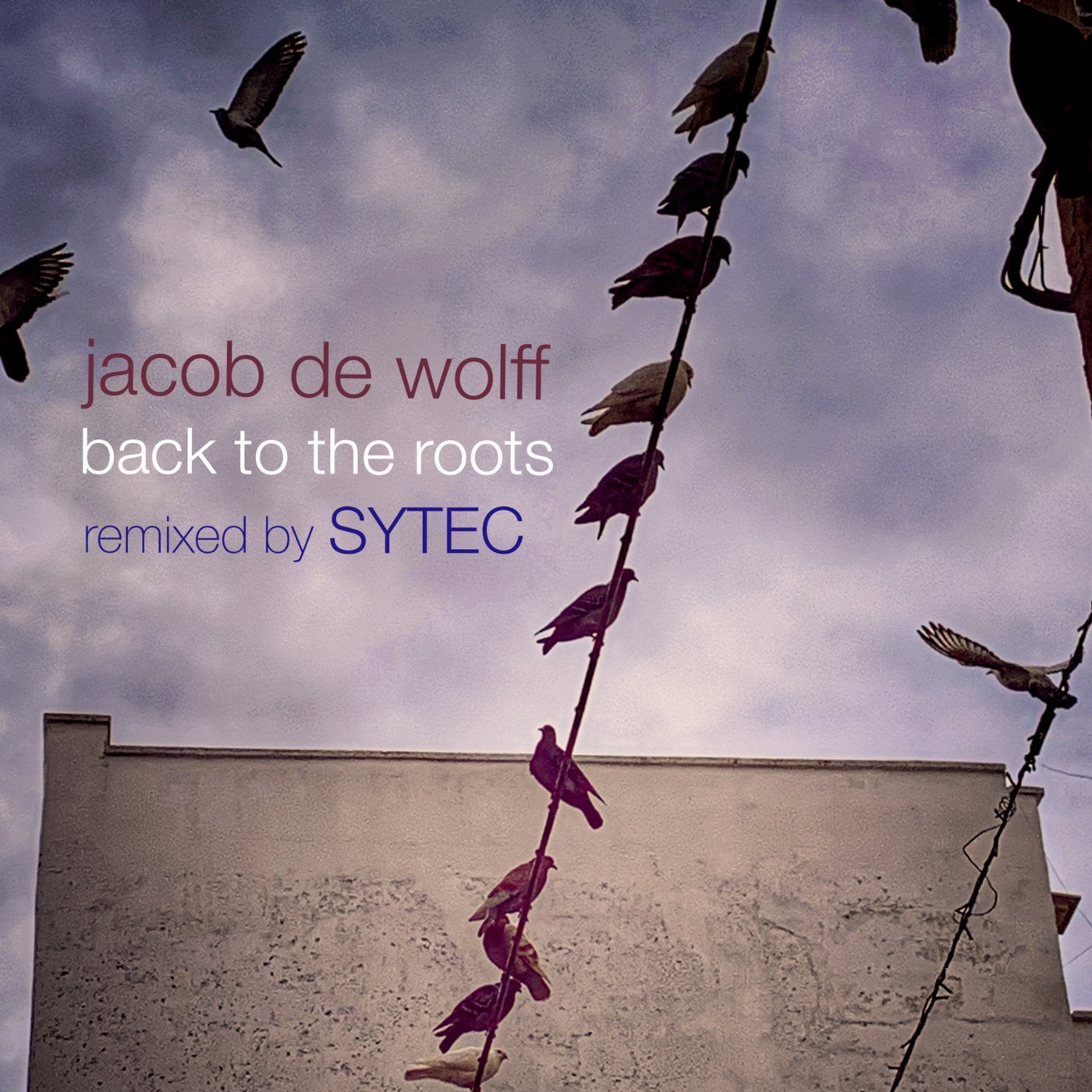 Back To The Roots (Sytec Remix)
