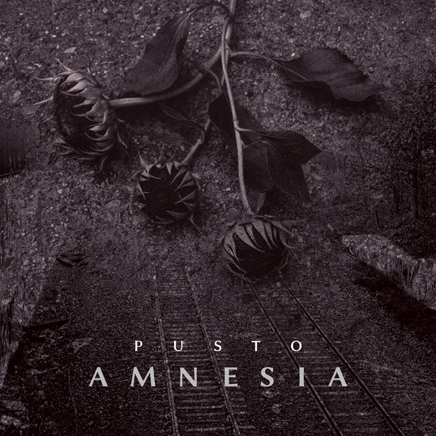 Amnesia