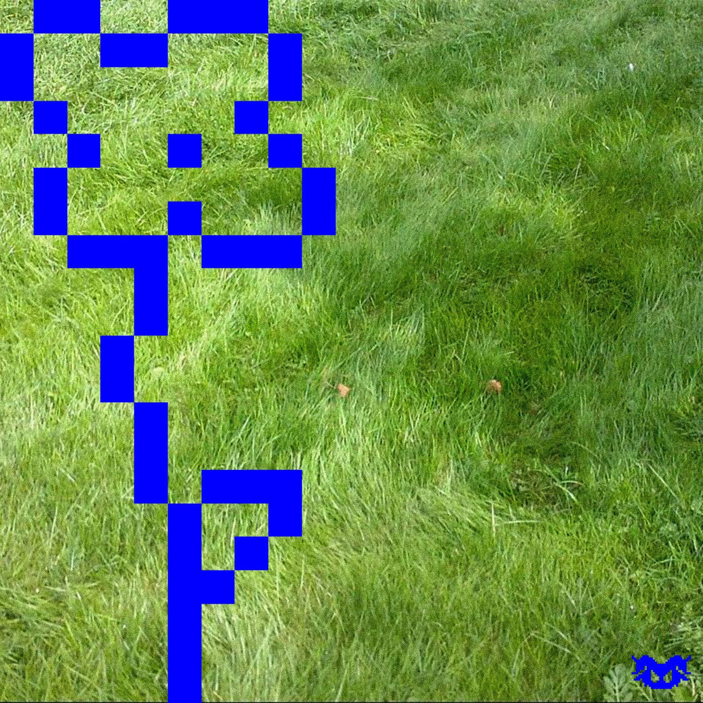 DLMA