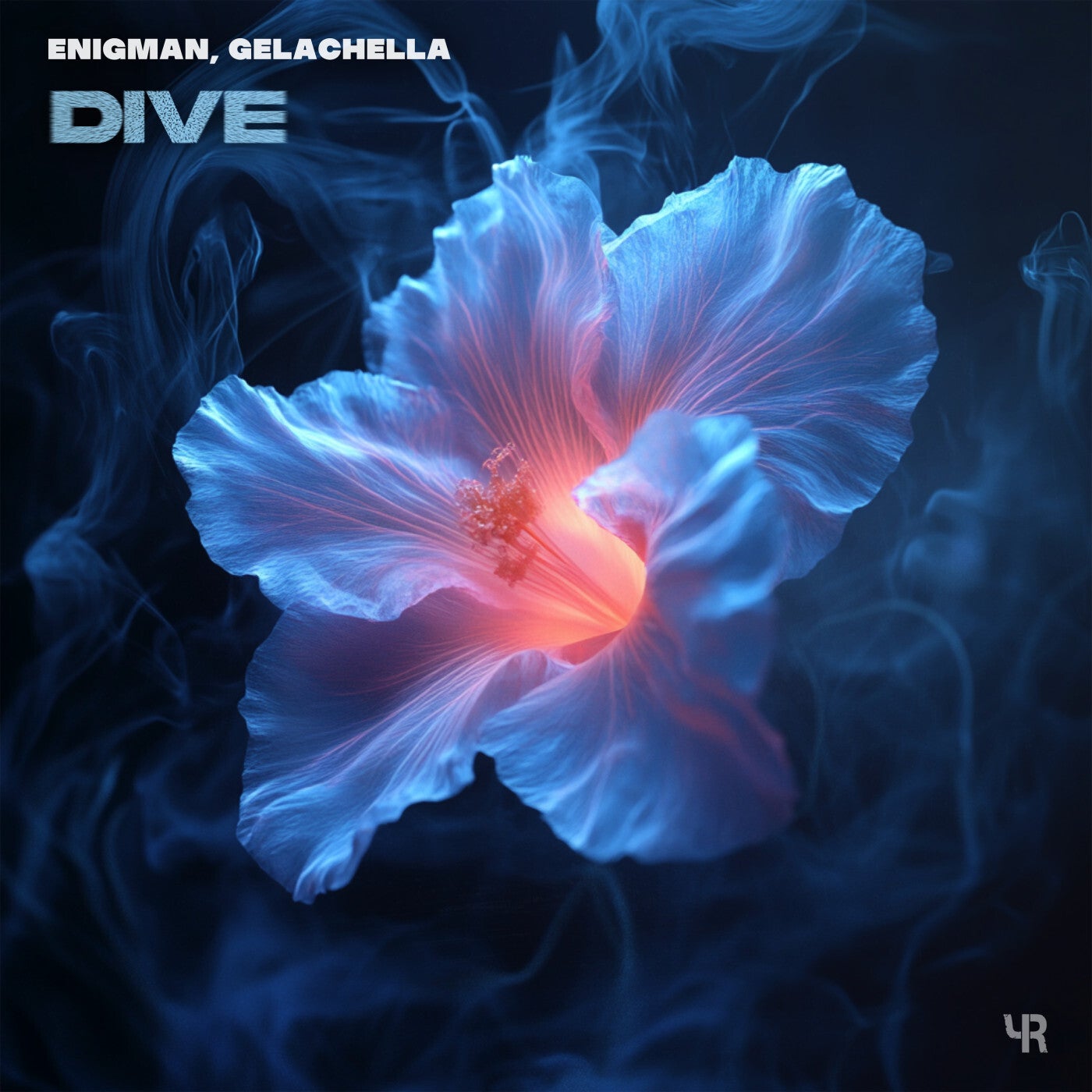 Dive