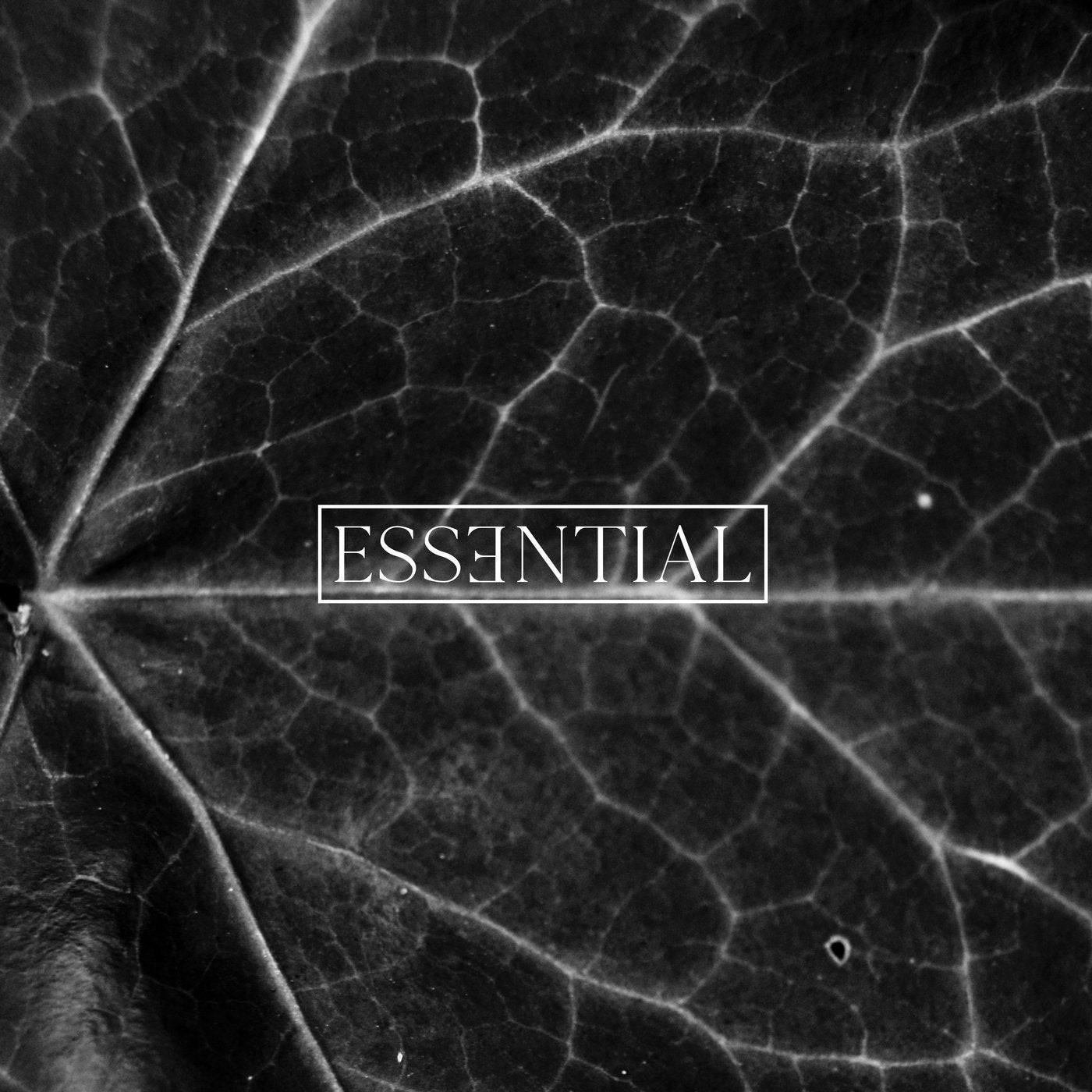 ESSENTIAL 014