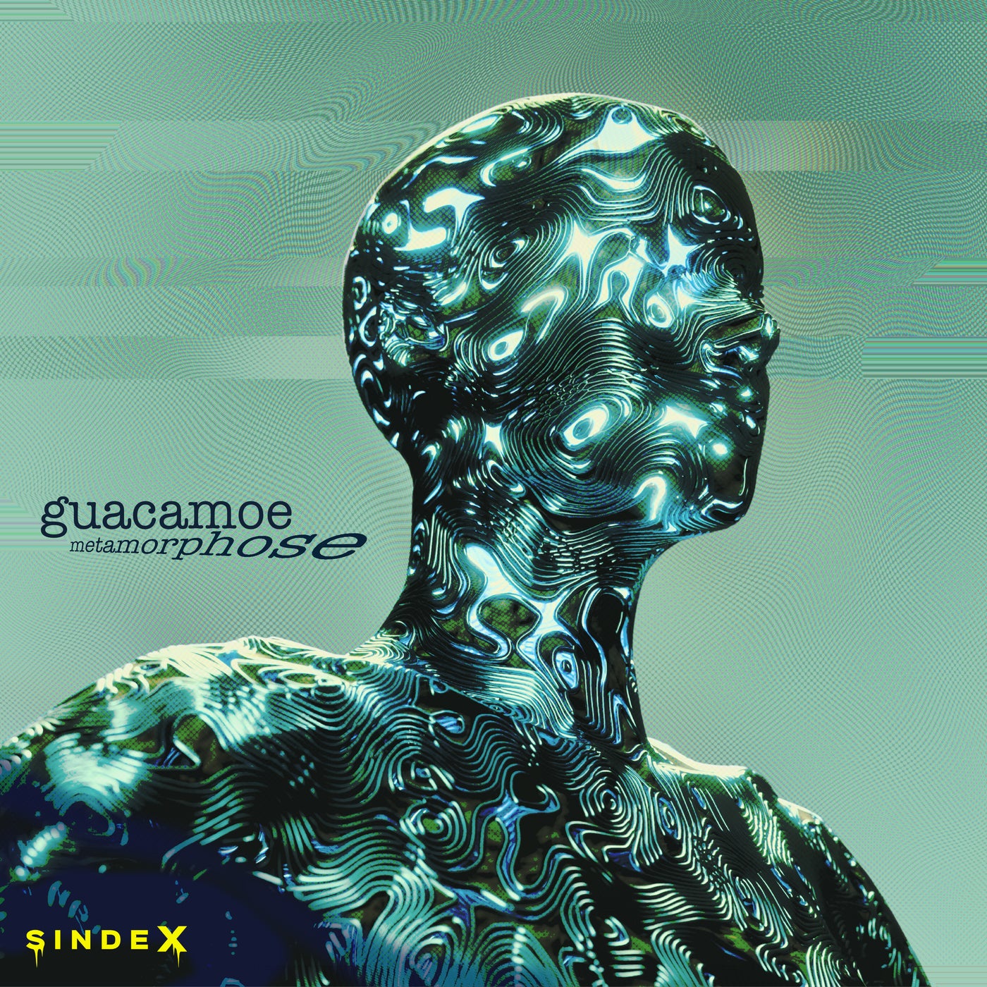 Cover art for Metamorphose