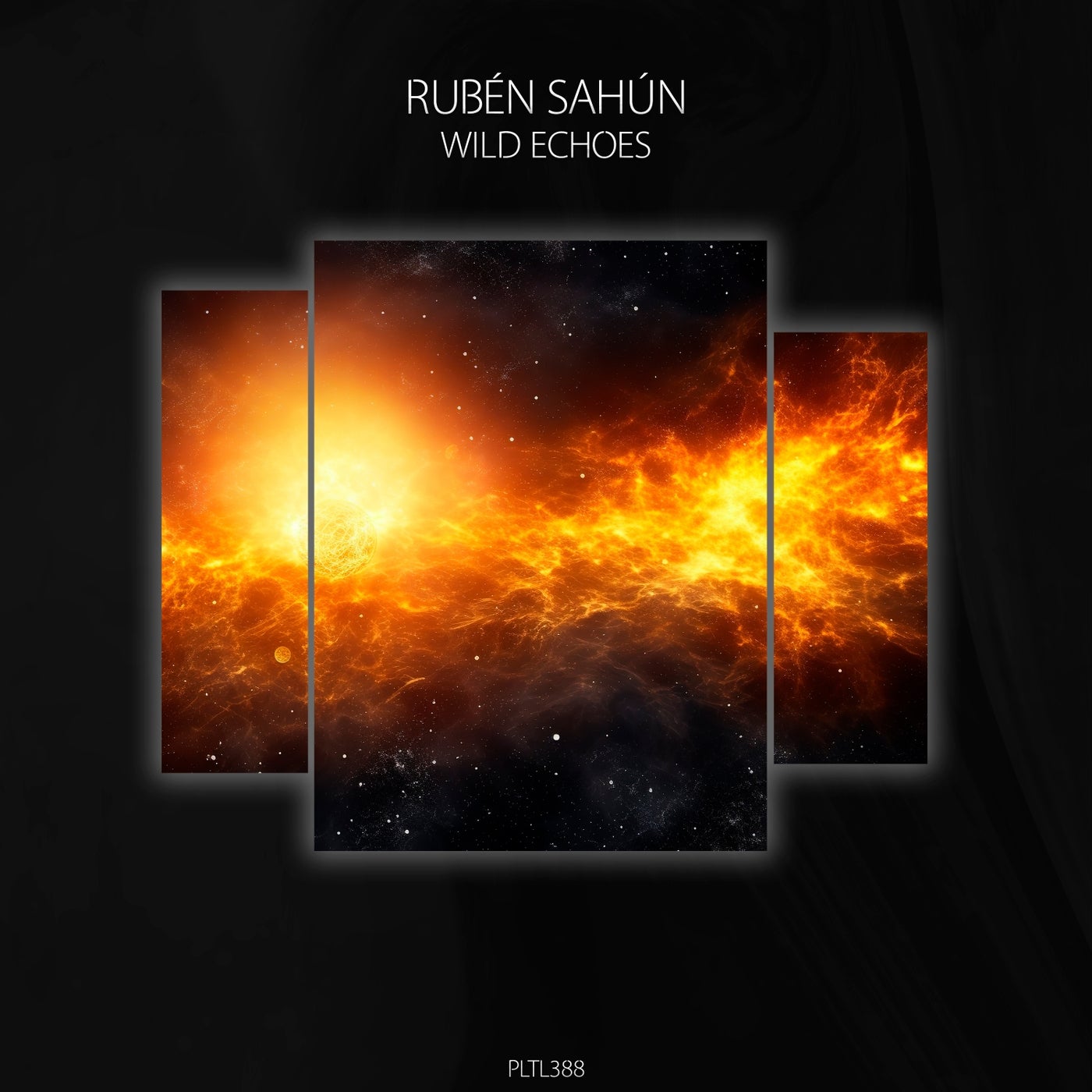 Cover art for Wild Echoes