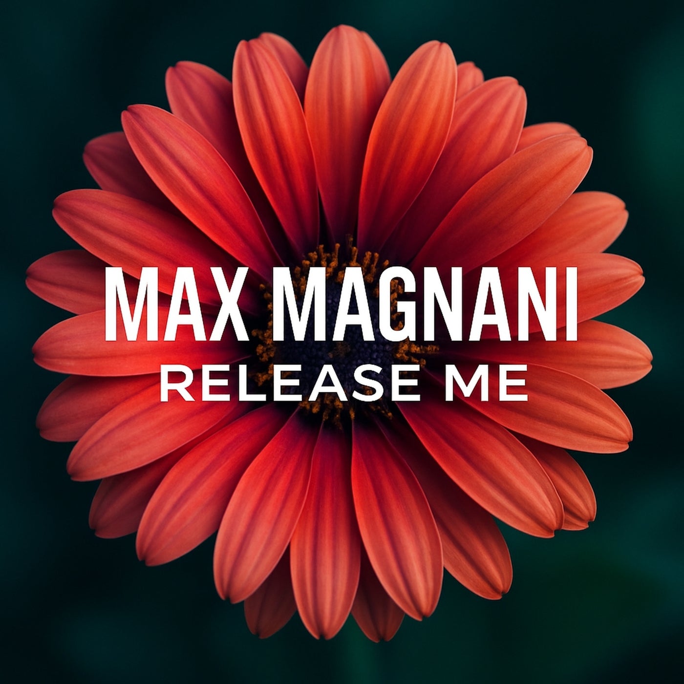 Release Me 