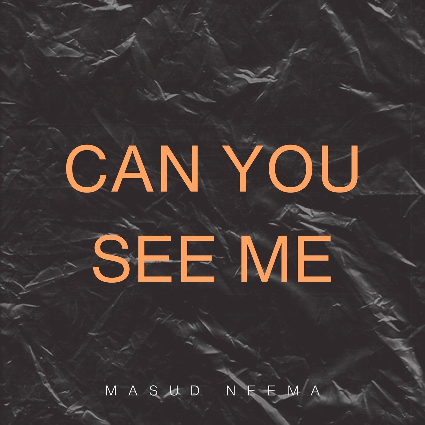 Can You See Me