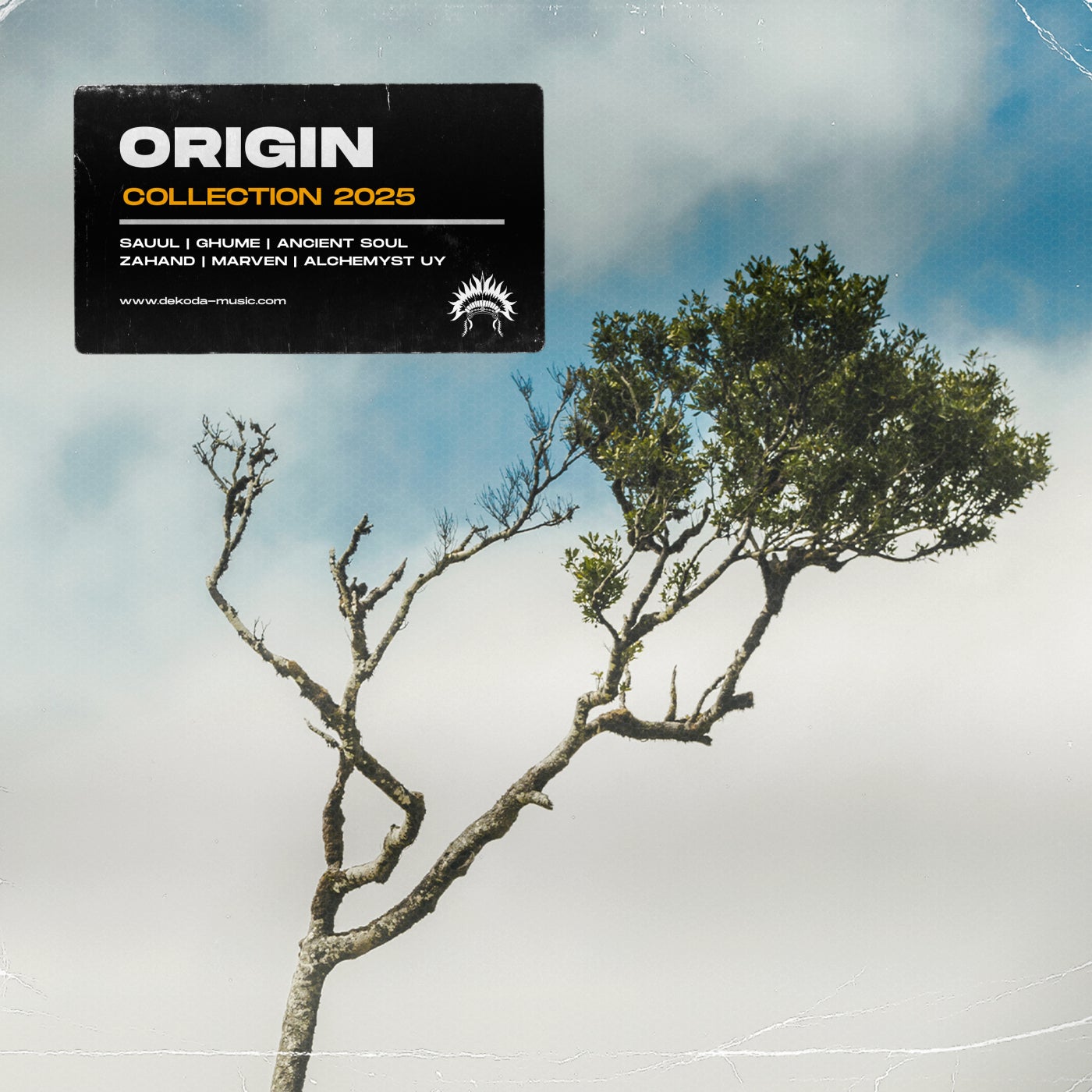 Origin Collection 2025