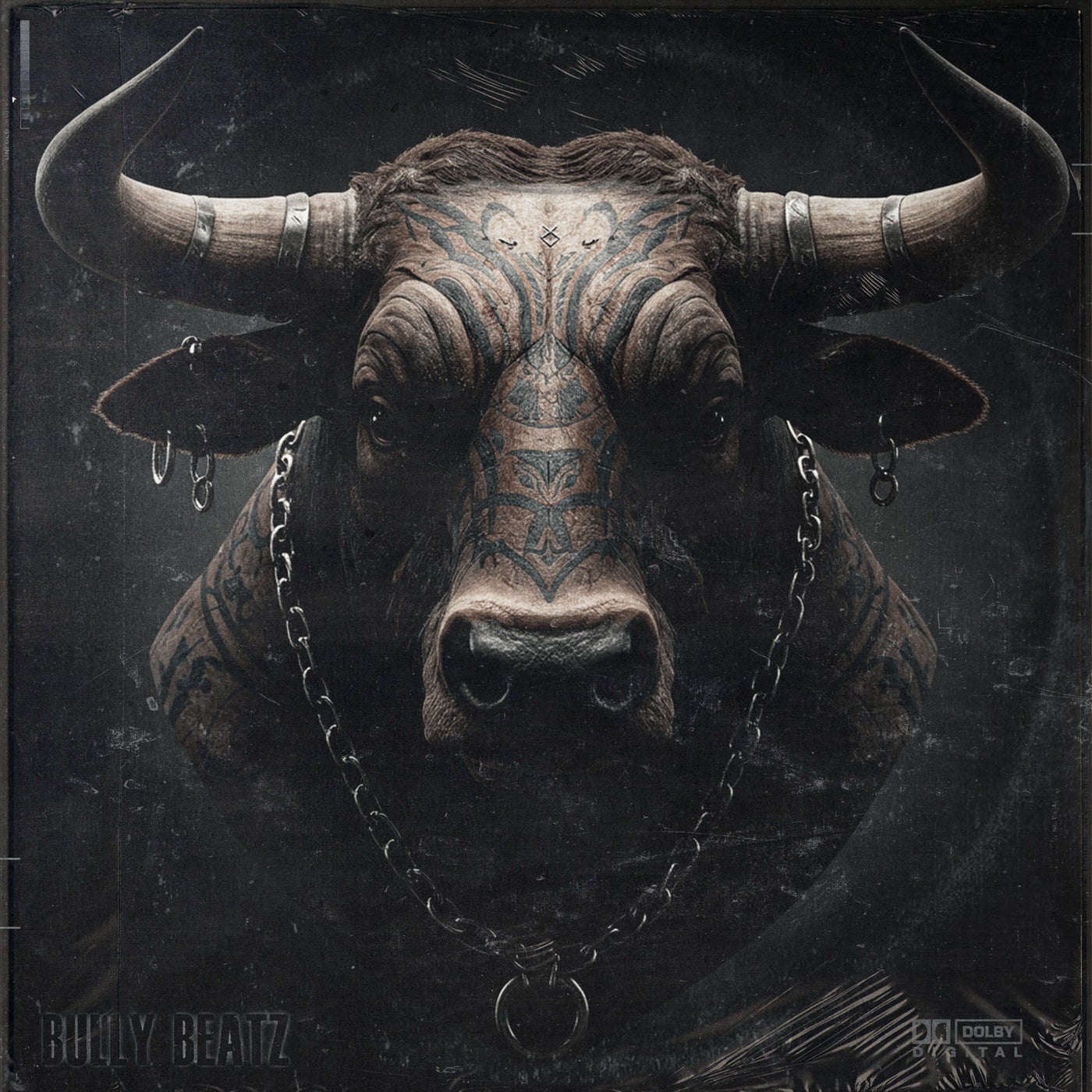 Cover art for Dark Room