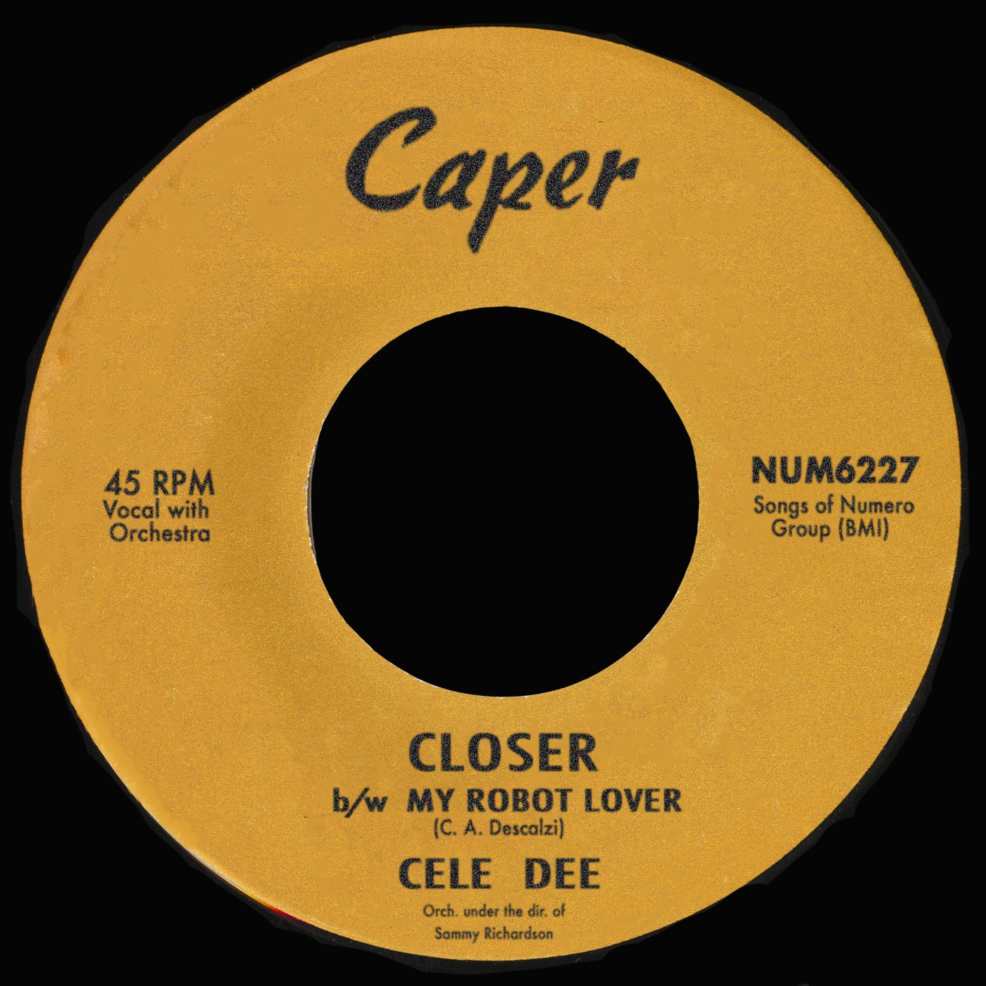 Closer b/w My Robot Lover