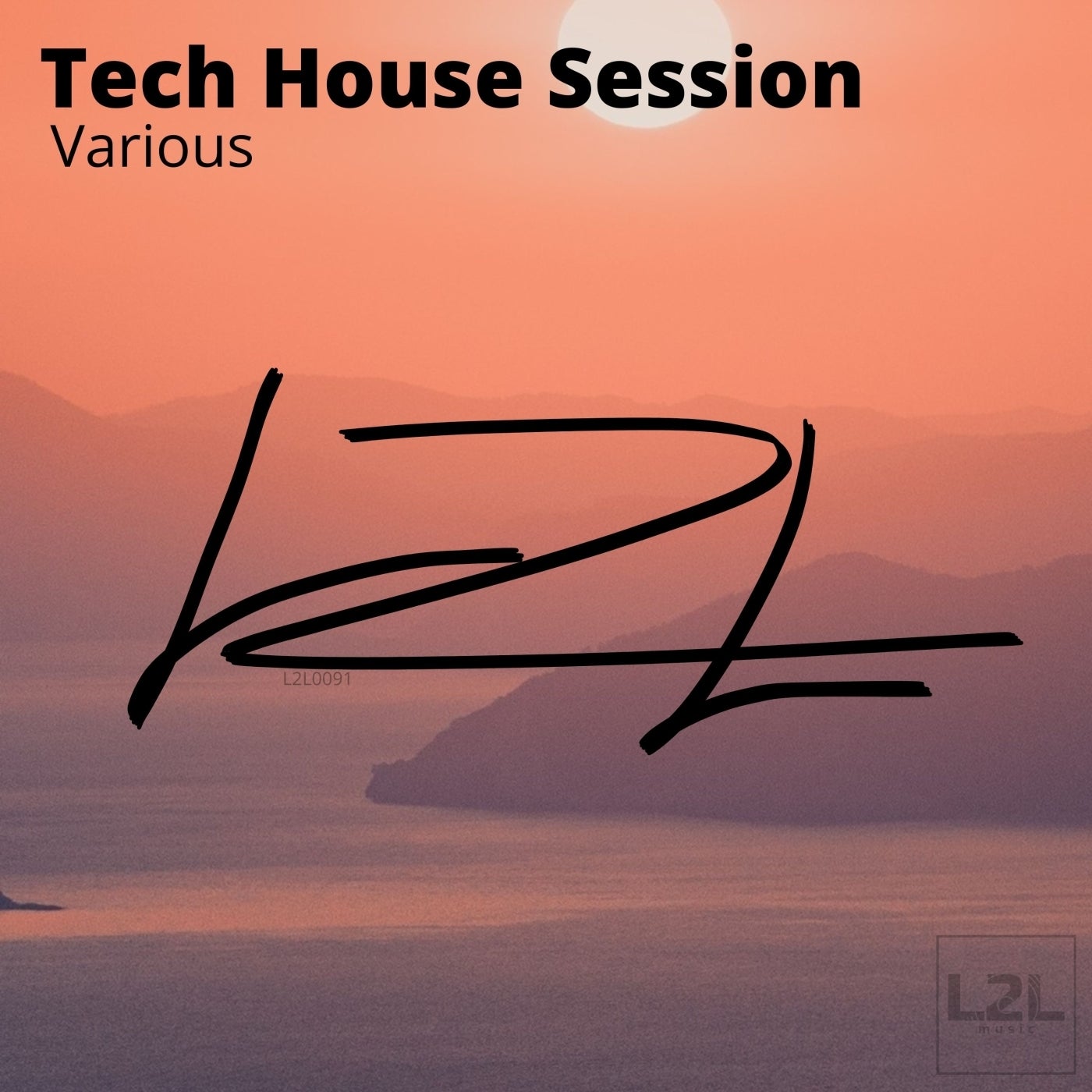 Various - Tech House Session