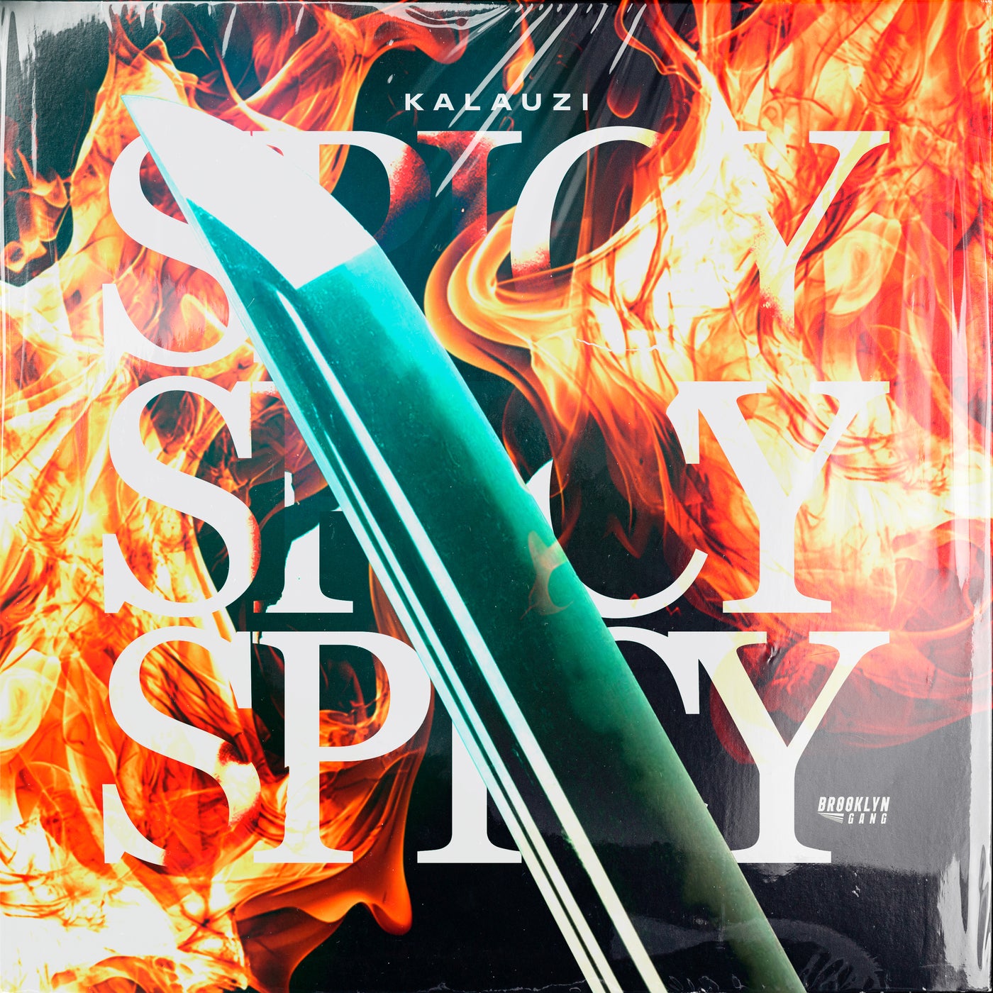 ♪SPICY♪ Kalauzi - SPICY [Brooklyn Gang] | Music & Downloads on Beatport