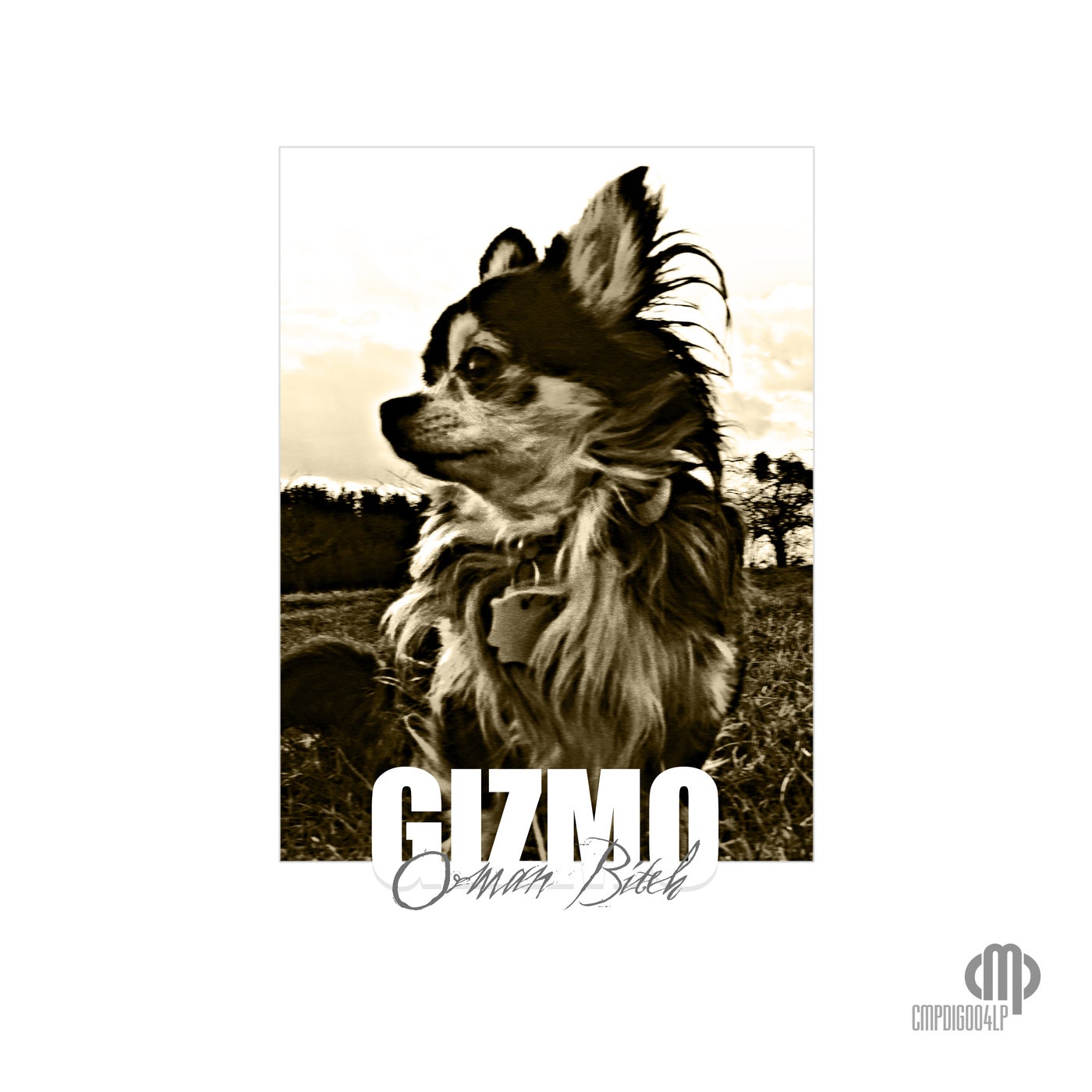 Gizmo