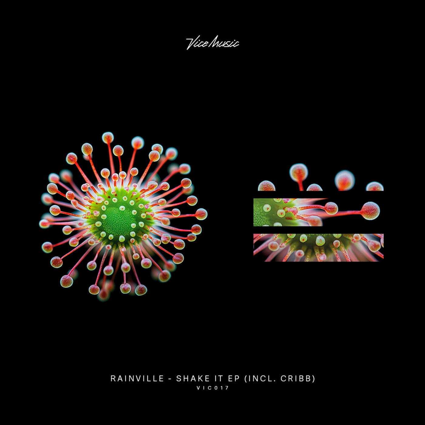Shake It EP