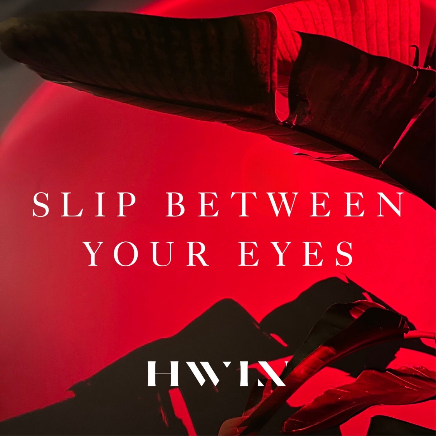 Slip Between Your Eyes