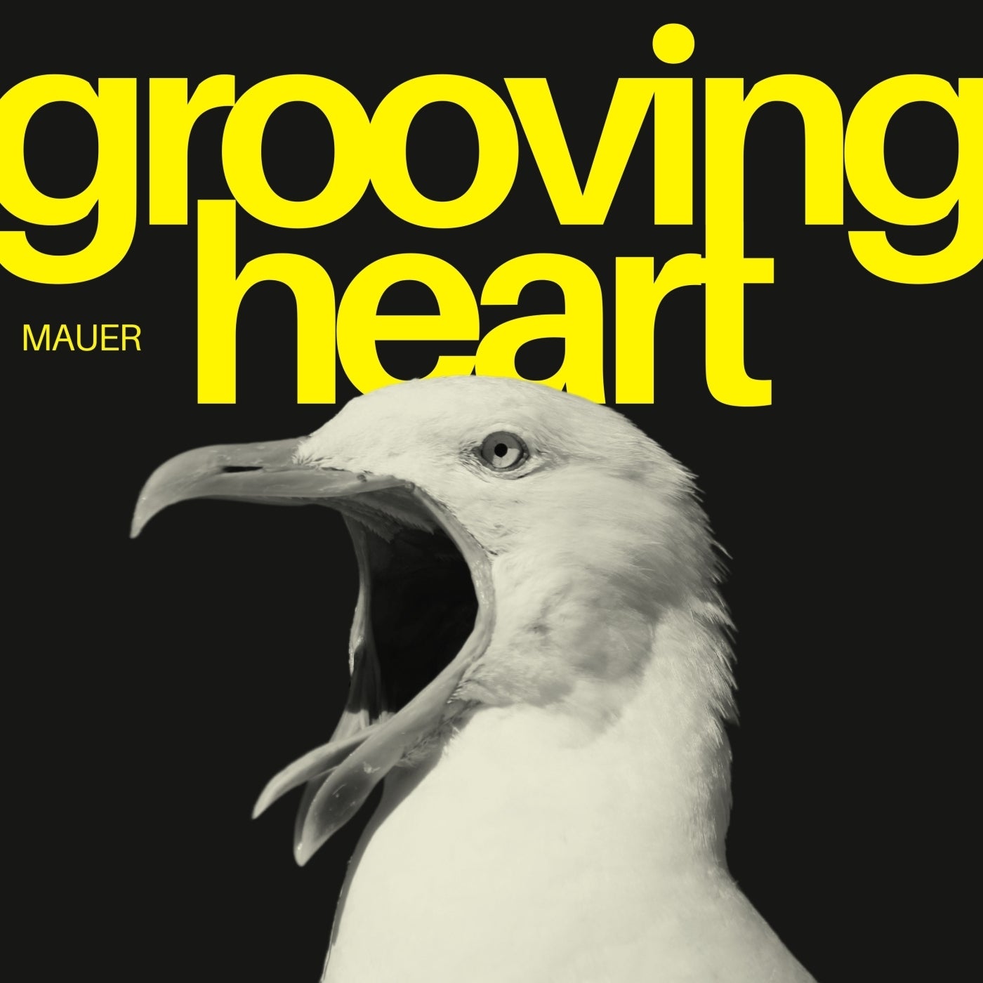 Grooving Heart