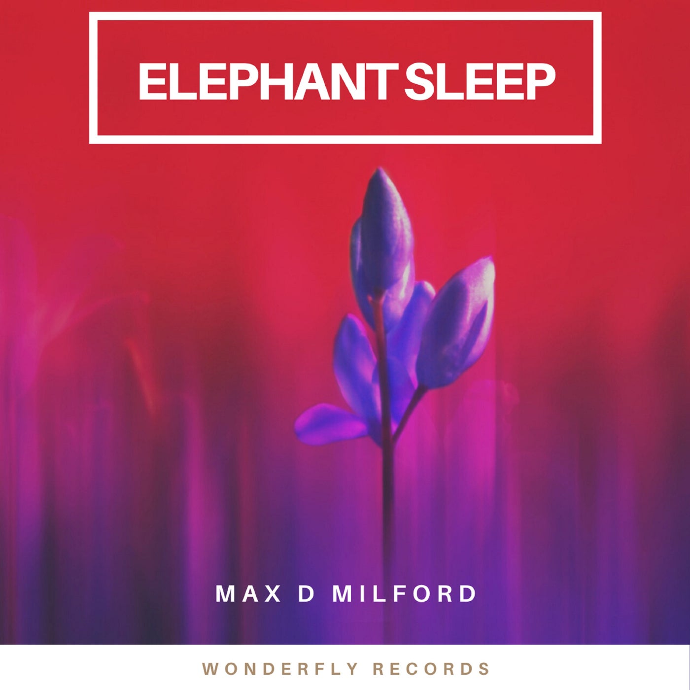 Elephant Sleep