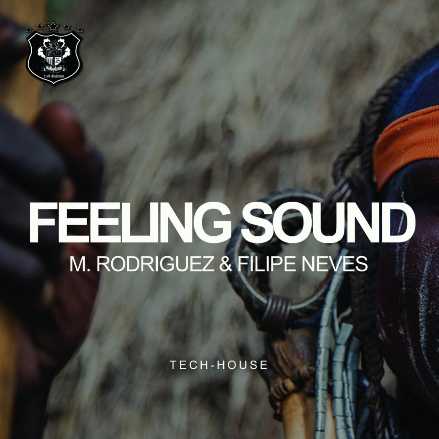 Feeling Sound