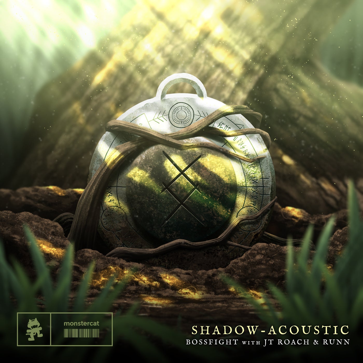 Shadow - Acoustic
