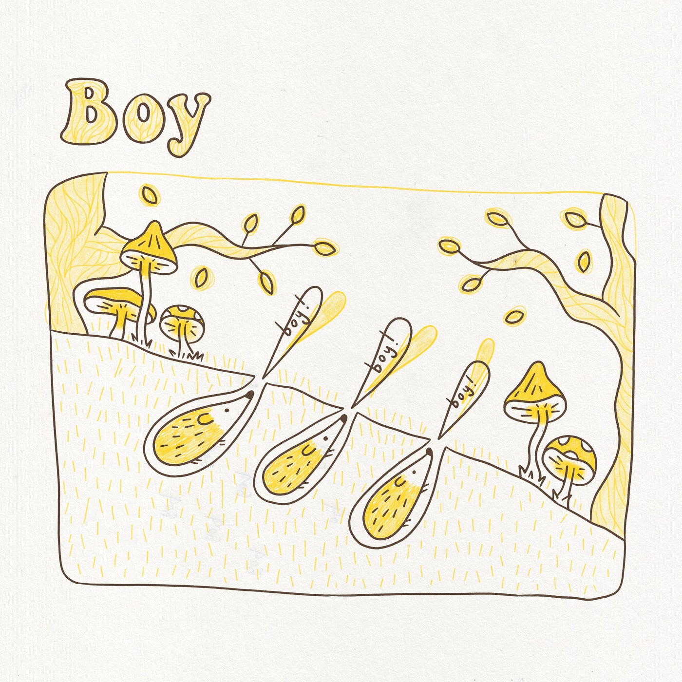 Boy