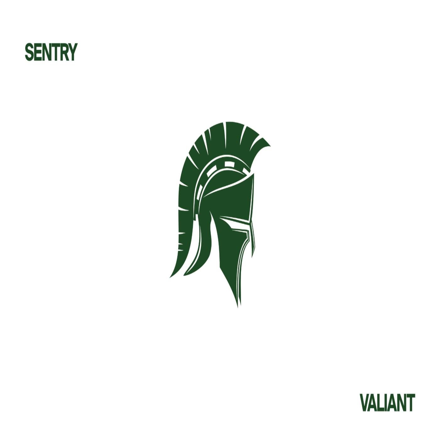 Sentry 05