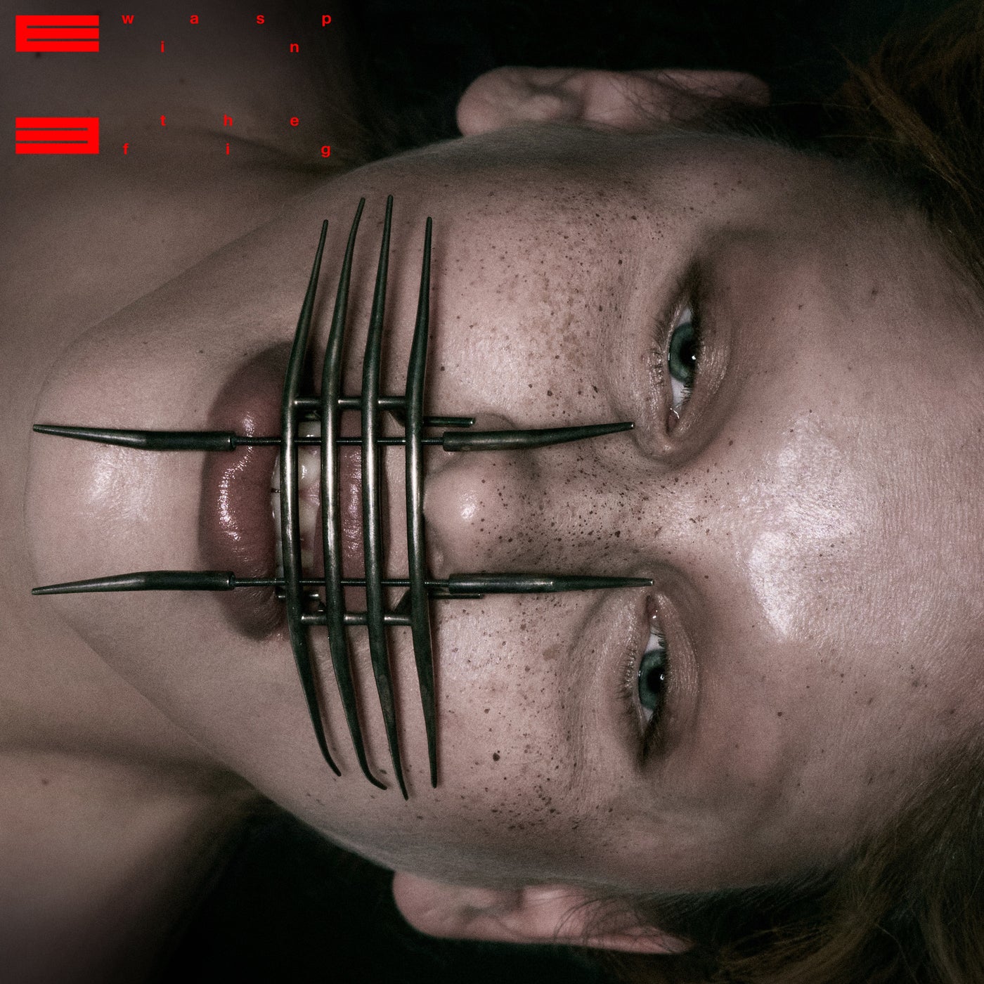 Eartheater - Wasp In the Fig album artwork