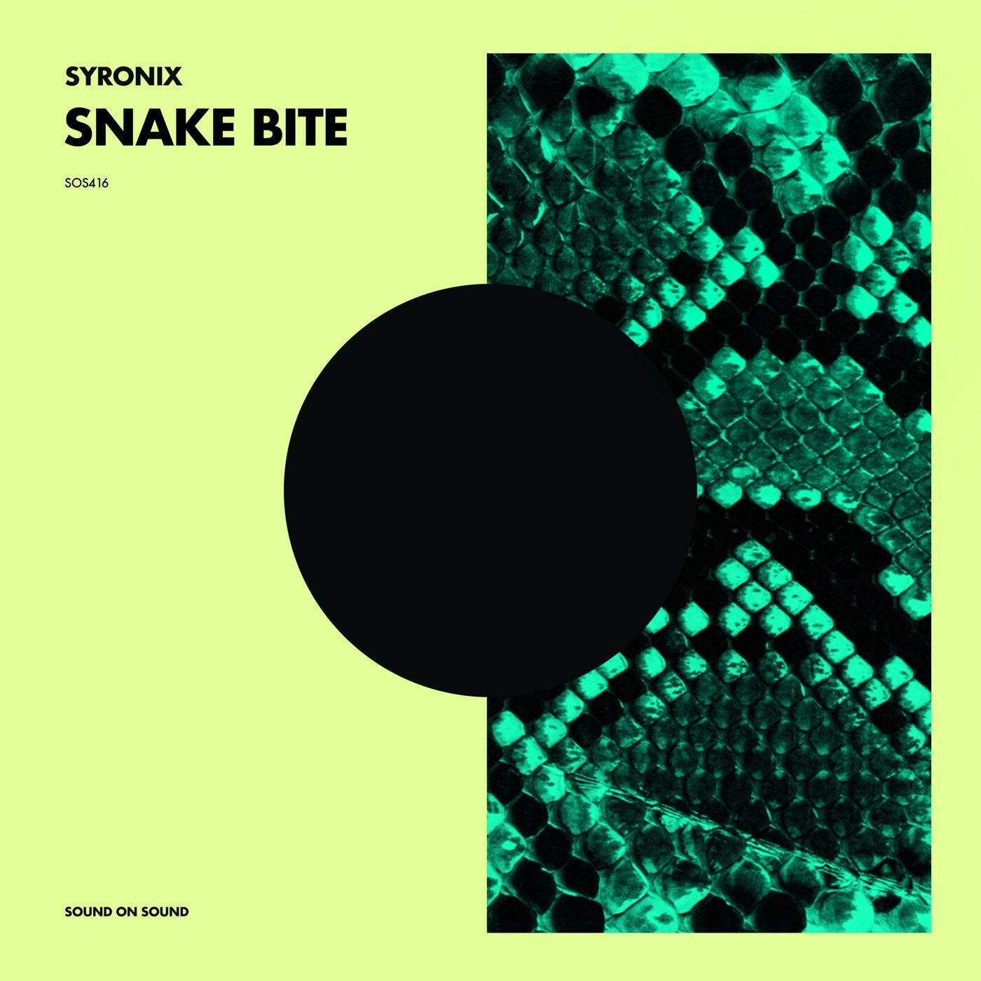 Snake Bite