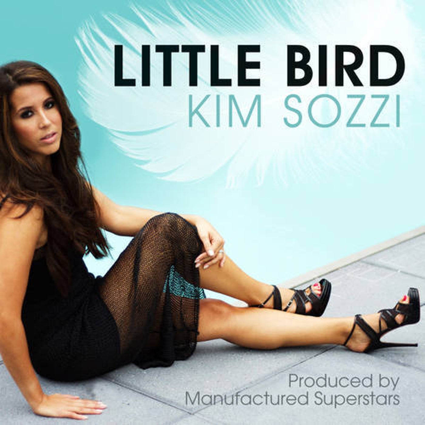Little Bird (Extended Mix)