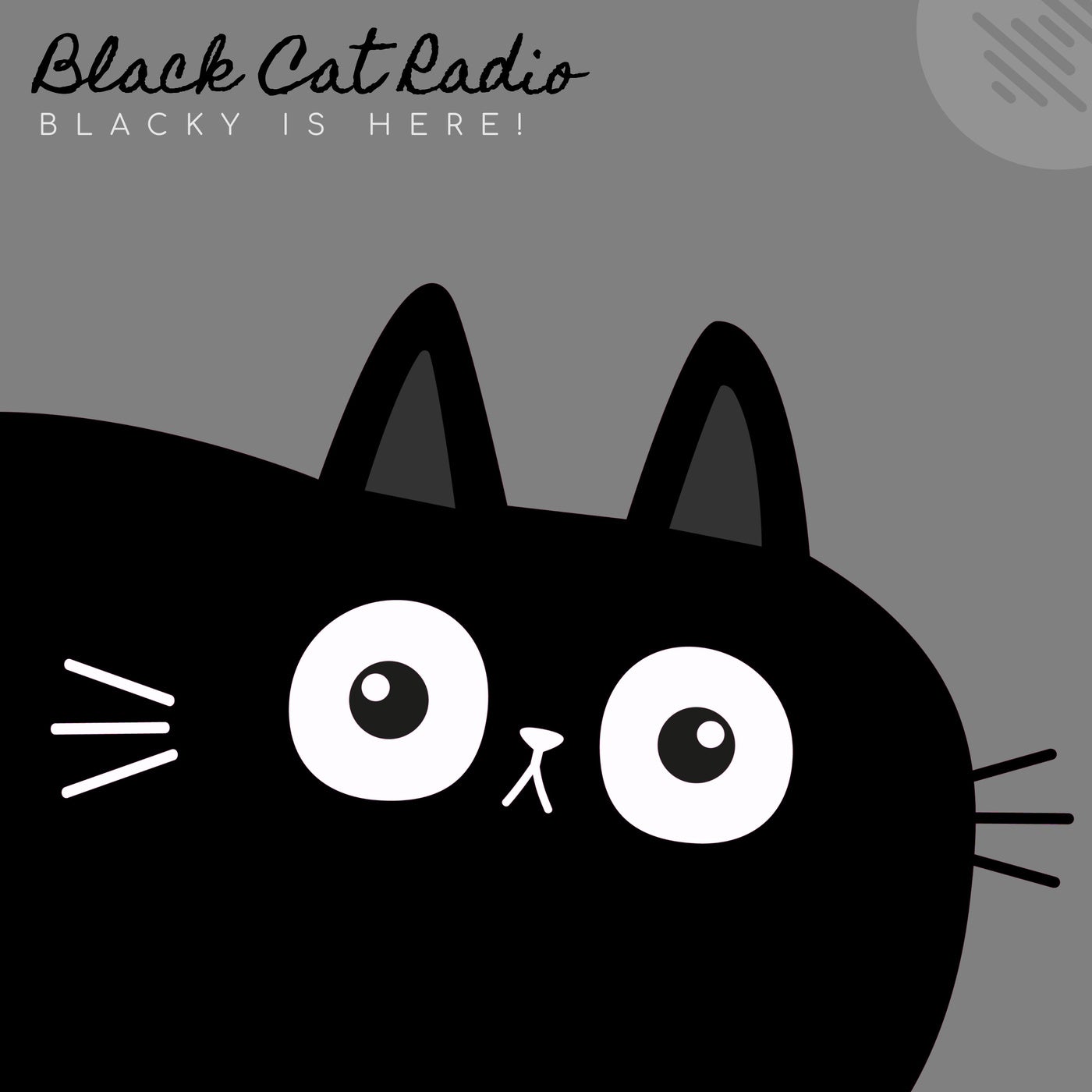 Blacky Is Here!