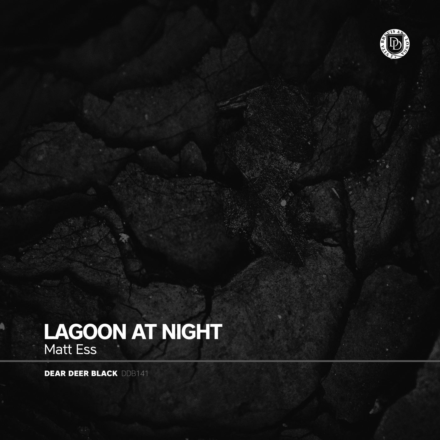 Lagoon At Night