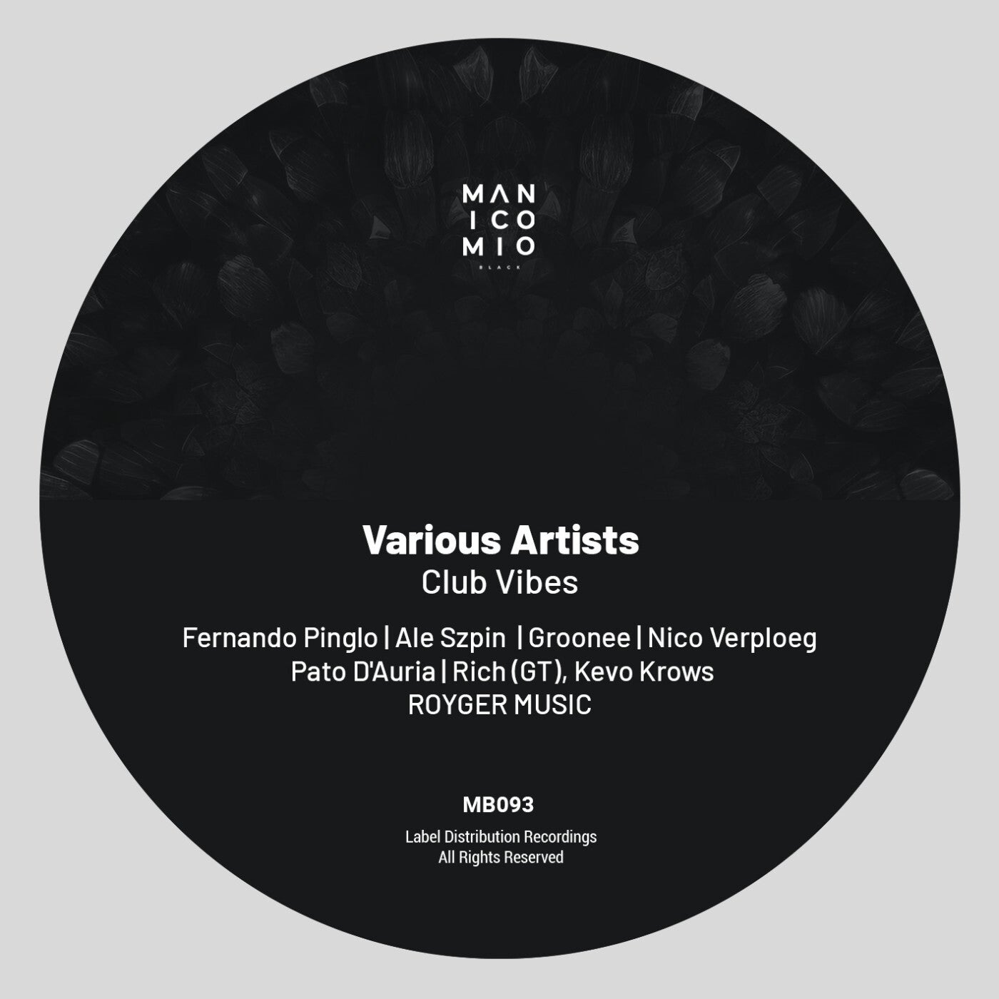 Cover art for Club Vibes